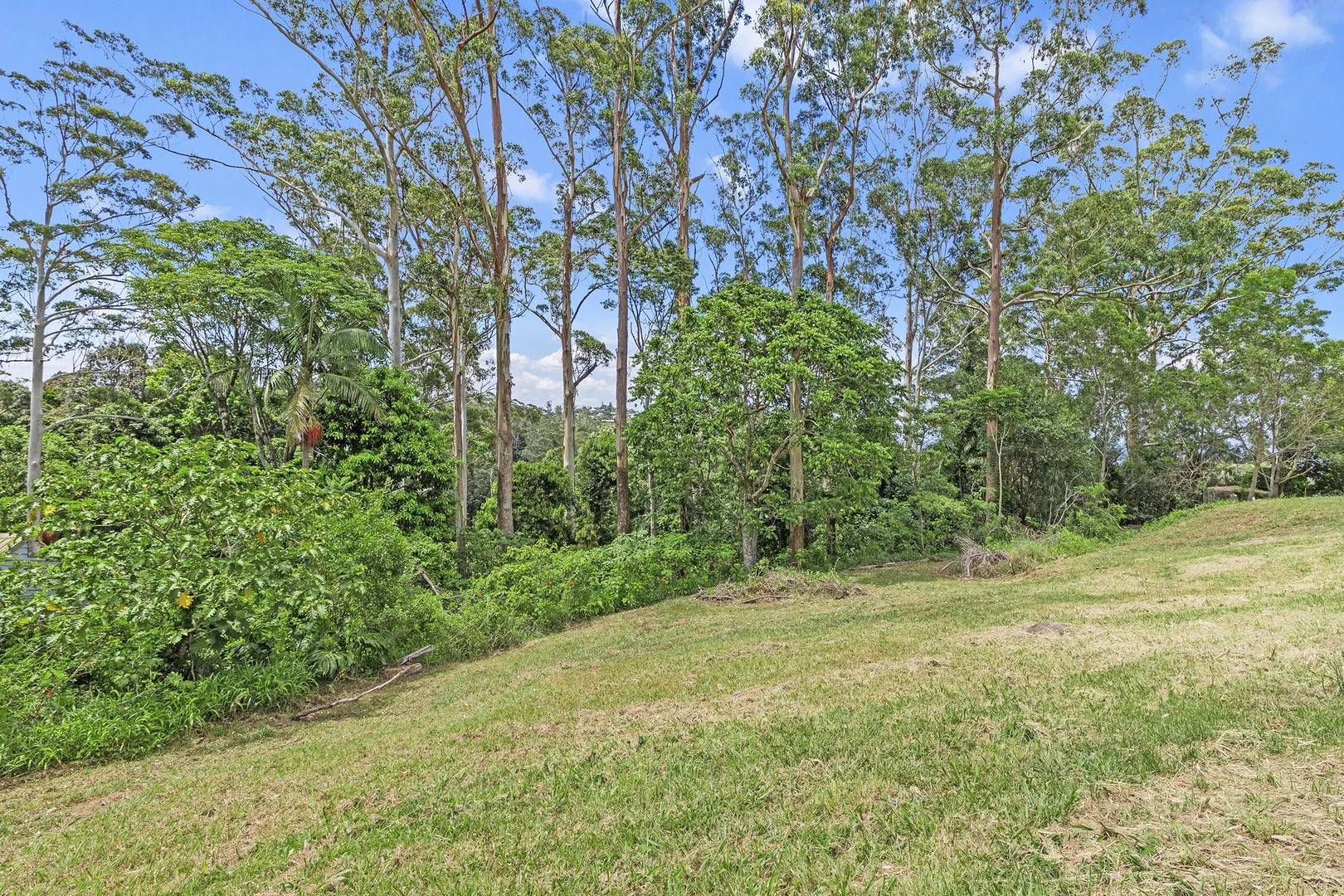 Additional image 6 of 15 - 17 Katoomba Crescent, Tamborine Mountain QLD 4272