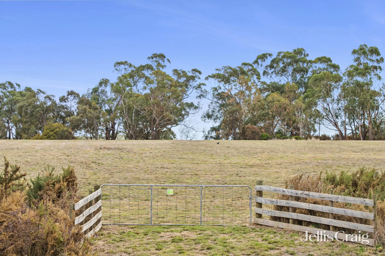 Additional image 7 of Lot 1 Northumberland Road, Kyneton VIC 3444