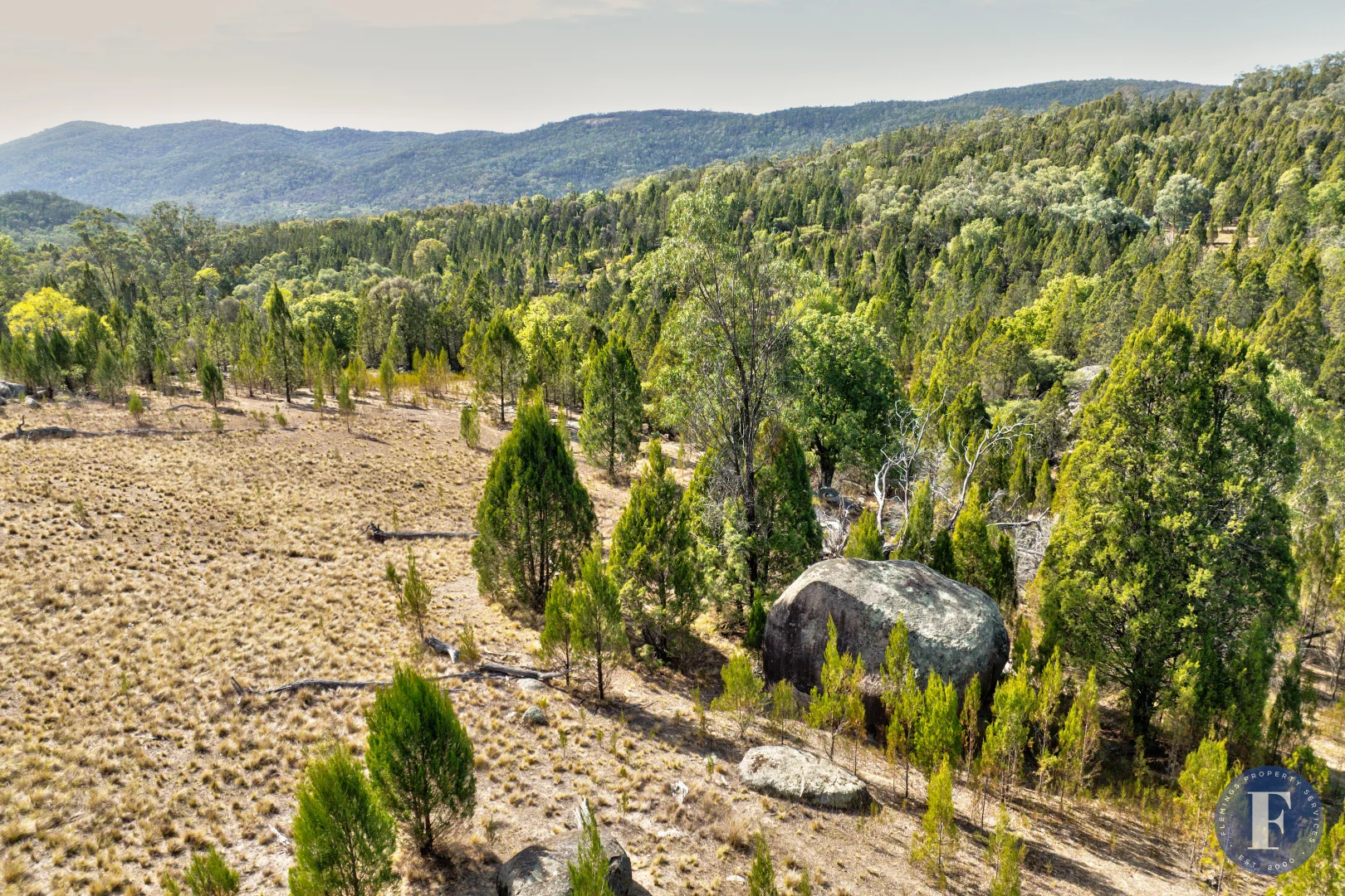 Additional image 22 of 1603 Foggs Crossing Road, Reids Flat NSW 2586