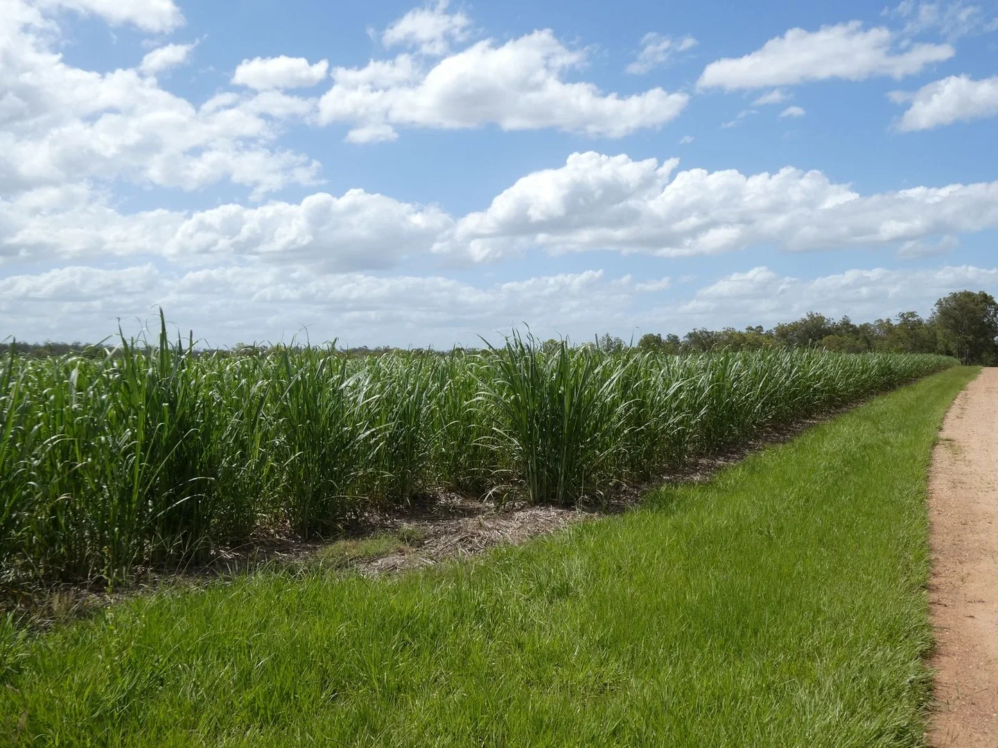 Additional image 8 of 3392 Childers Road, Gregory River QLD 4660