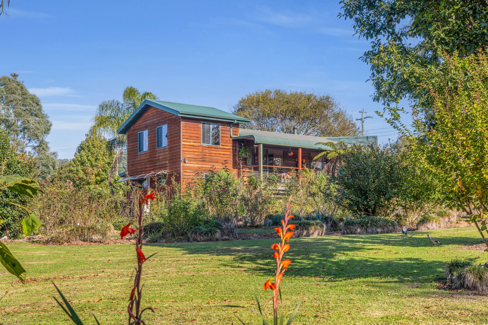 Additional image 13 of 59 Avernus Street, Cobargo NSW 2550