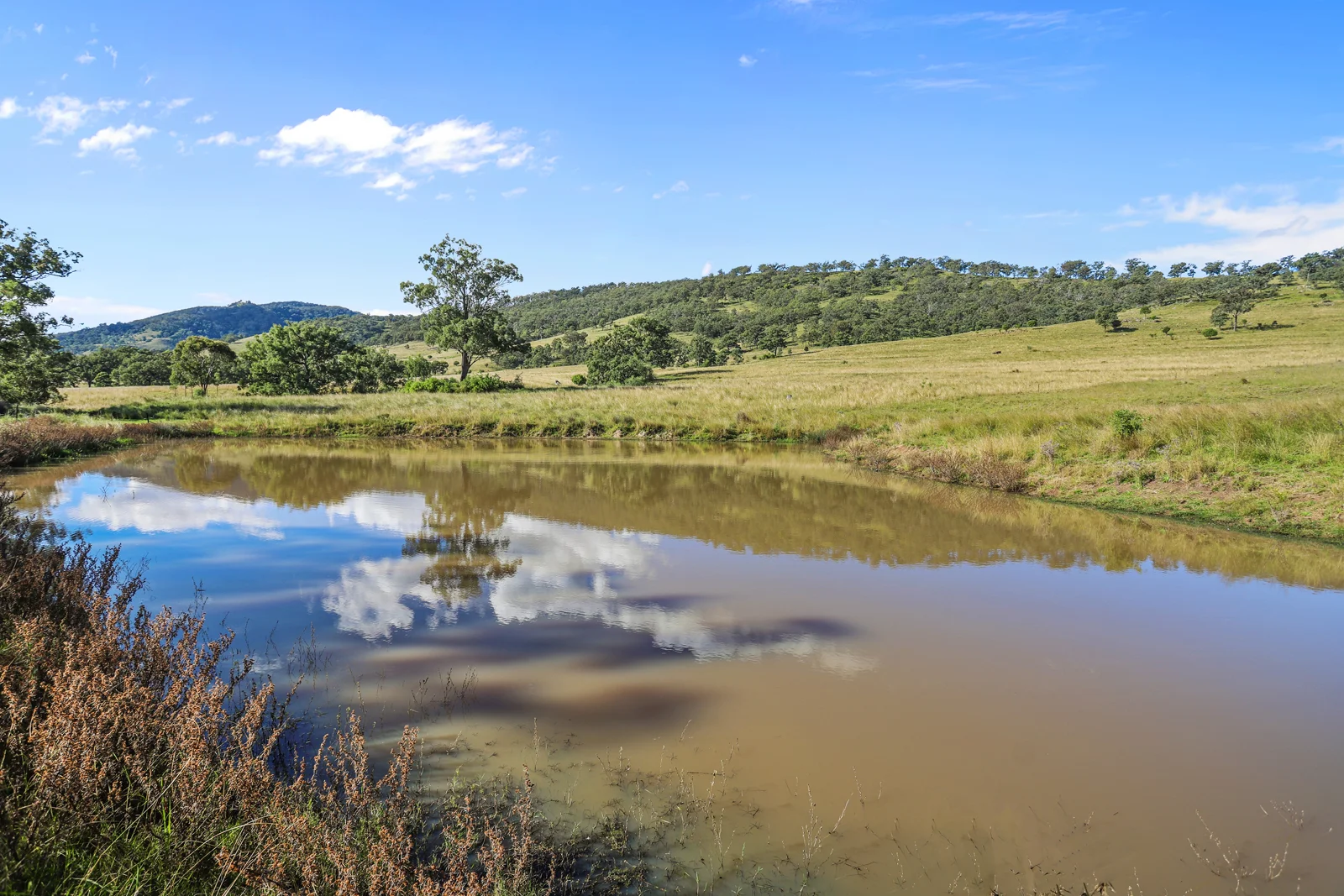 Additional image 9 of 260 Mareeba Road, Scone NSW 2337