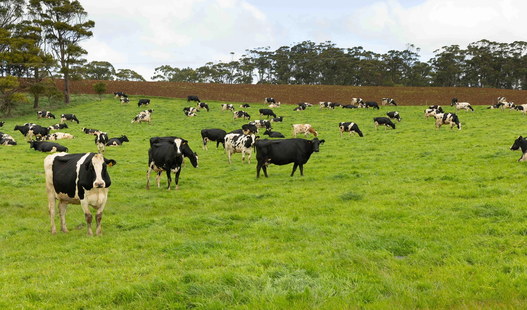 Additional image 4 of 99 Jocks Road, Forest TAS 7330