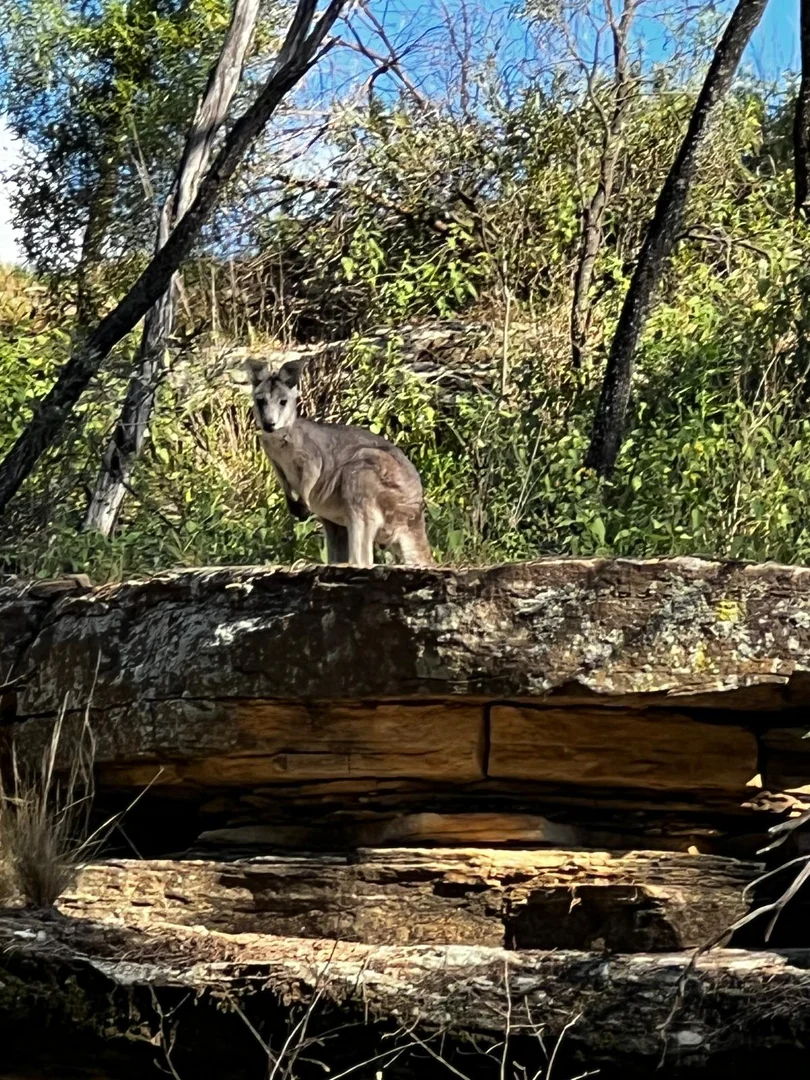 Additional image 28 of Lot 18 Hulks Road, Merriwa NSW 2329