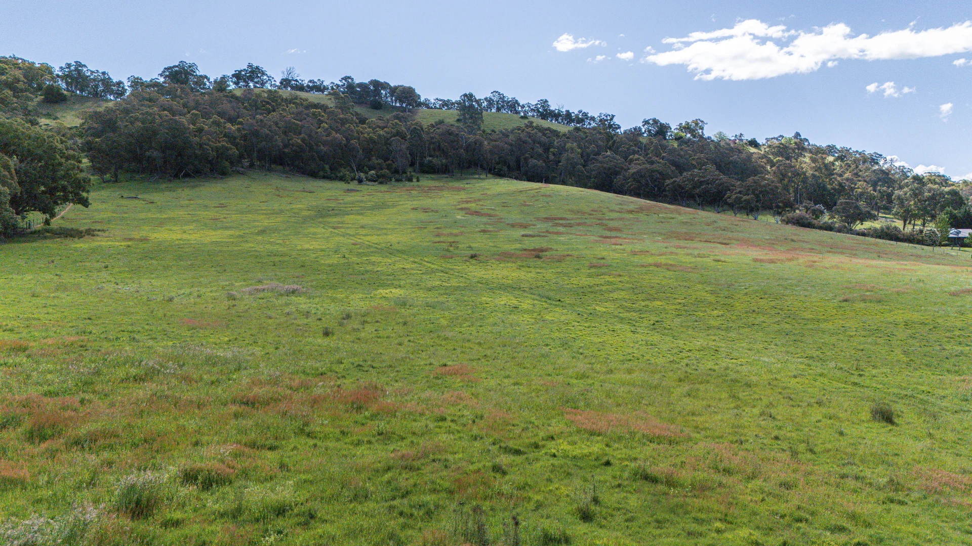 Additional image 3 of Lot 1/180 Buffalo Creek Road, Myrtleford VIC 3737