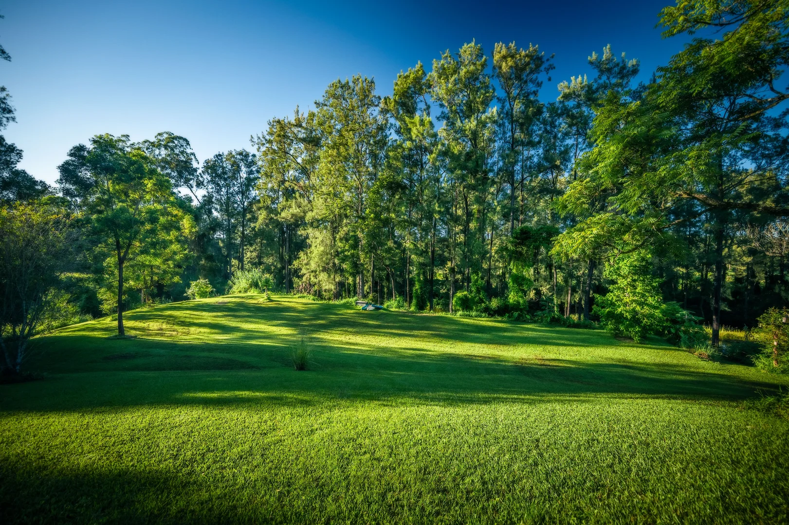 Additional image 33 of 484 Summervilles Road, Bellingen NSW 2454