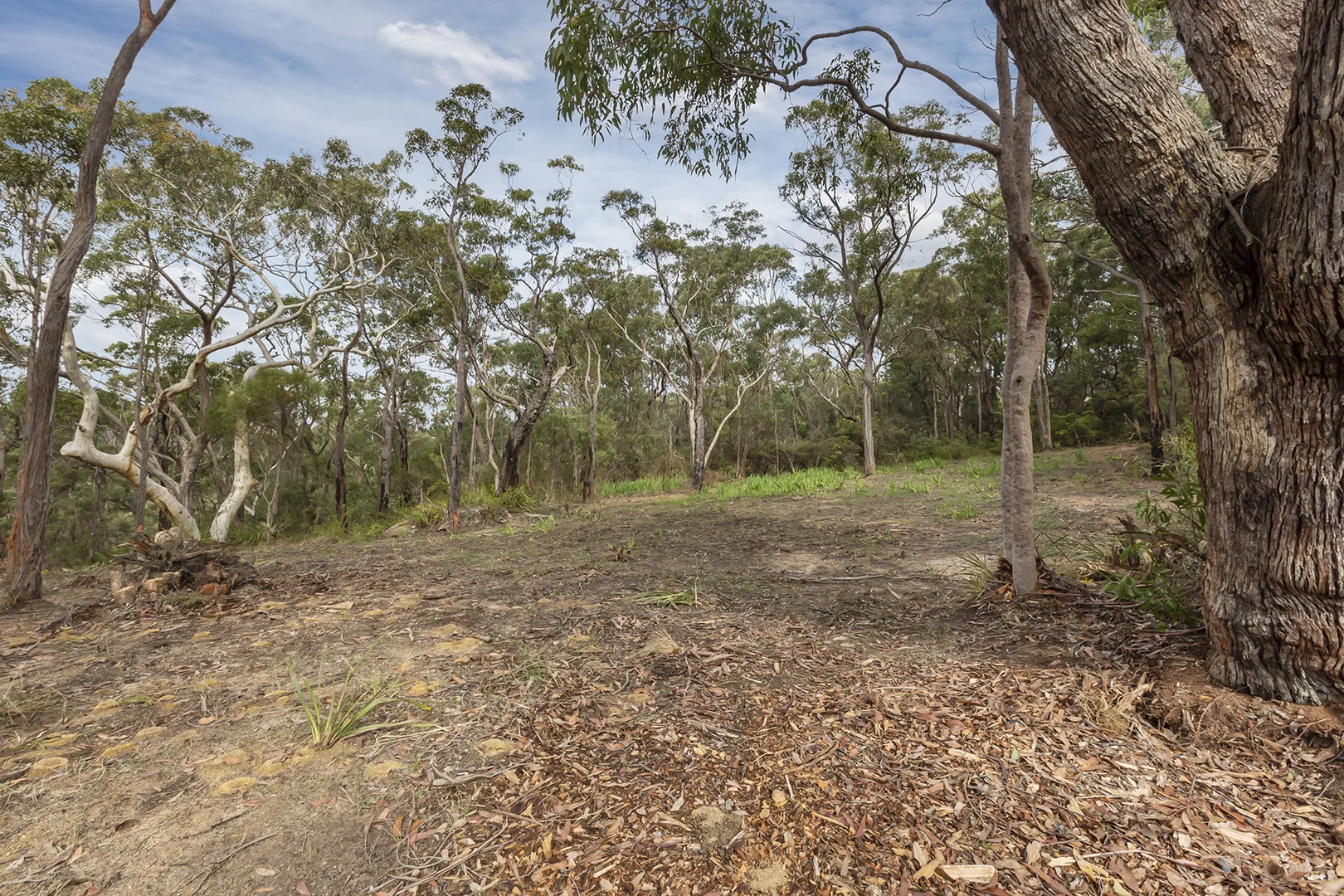 Additional image 7 of 41A Mount View Avenue, Hazelbrook NSW 2779