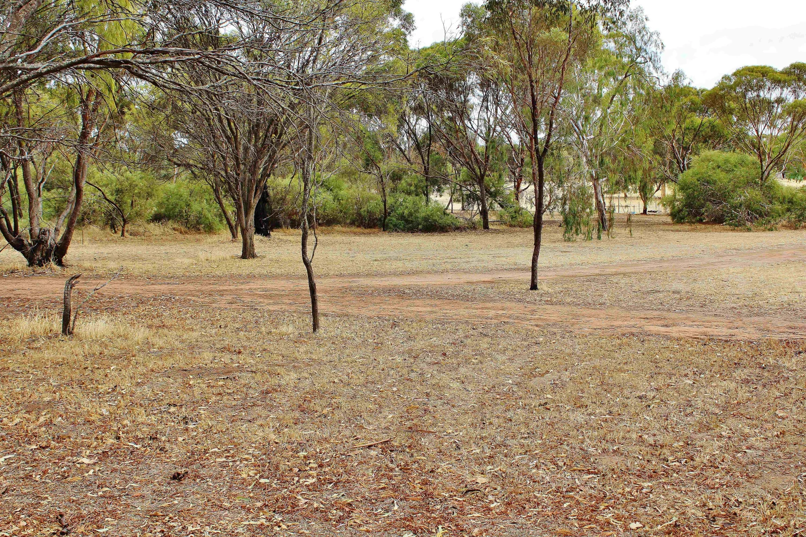 Additional image 31 of 95 CAMPBELL STREET, Cuballing WA 6311