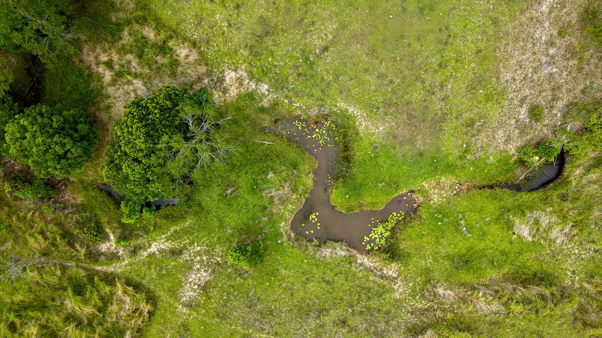 Additional image 30 of 198 Bow Hill Road, Dollys Flat NSW 2429