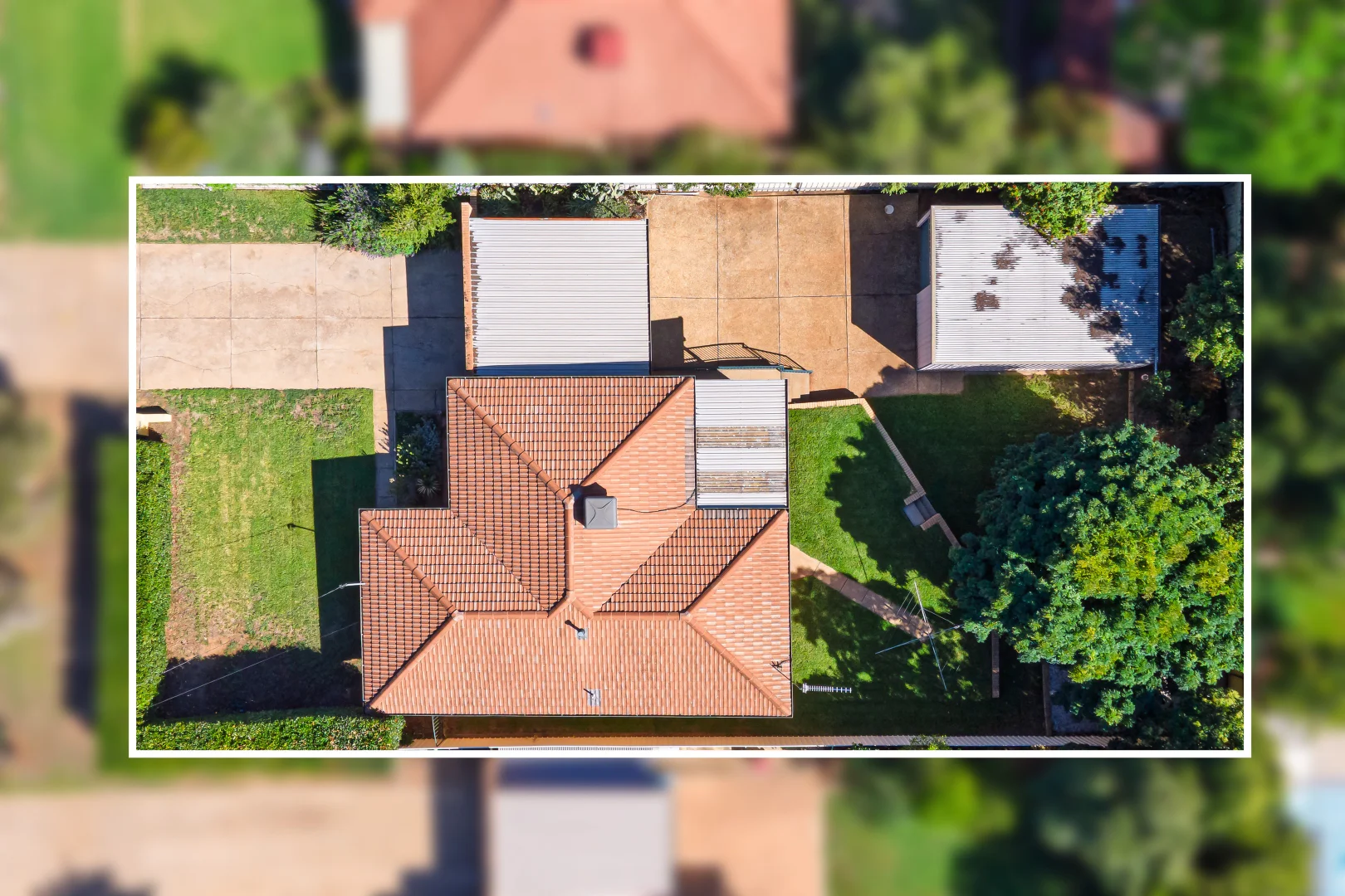 Additional image 13 of 99 Leavenworth Drive, Mount Austin NSW 2650
