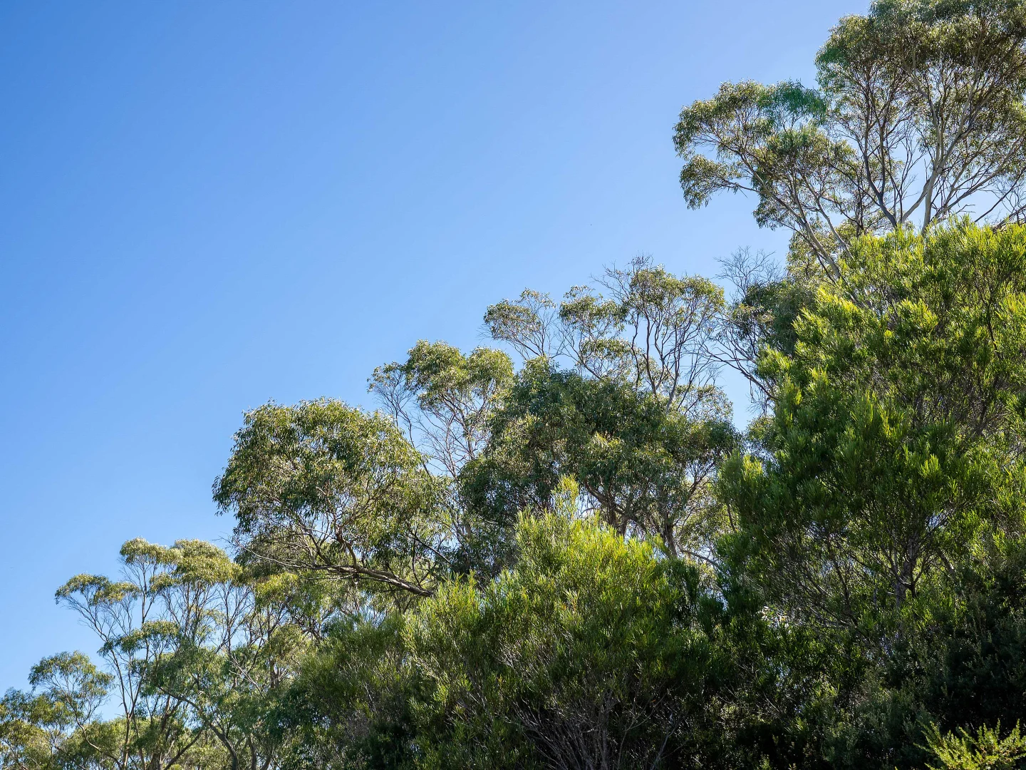 Additional image 5 of . Pot Boil Road, Lady Barron TAS 7255