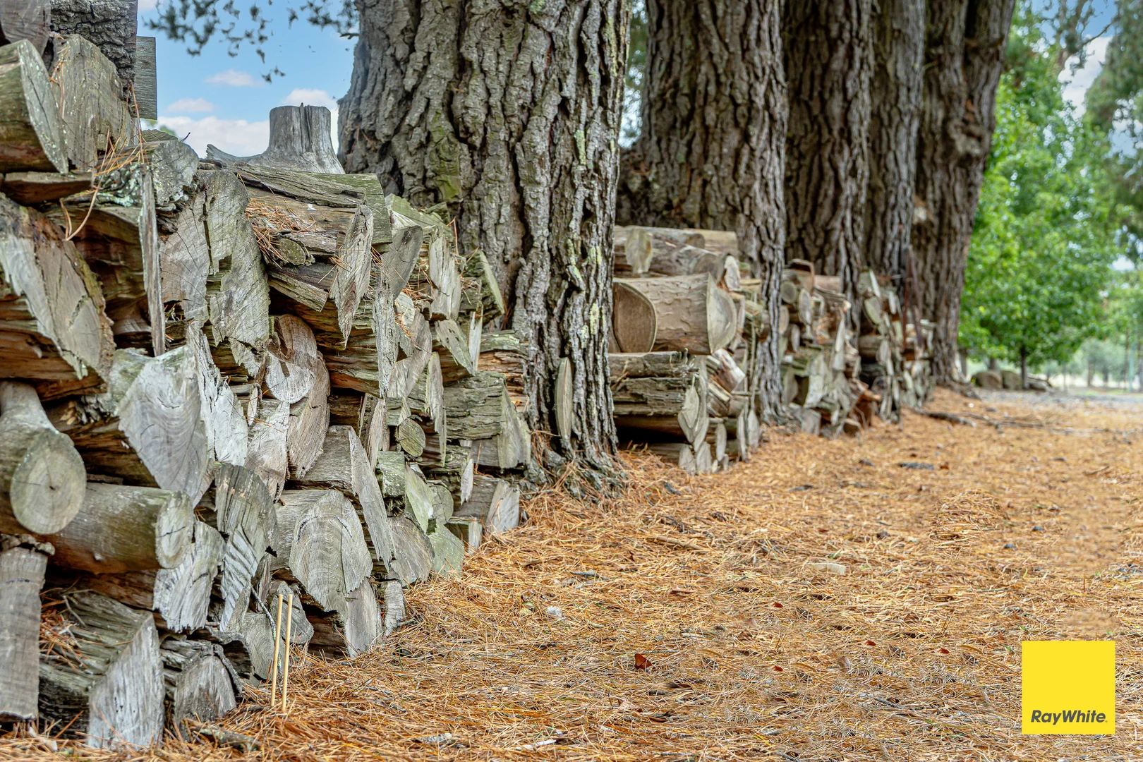 Additional image 38 of 159 Weigall Road, Gisborne VIC 3437