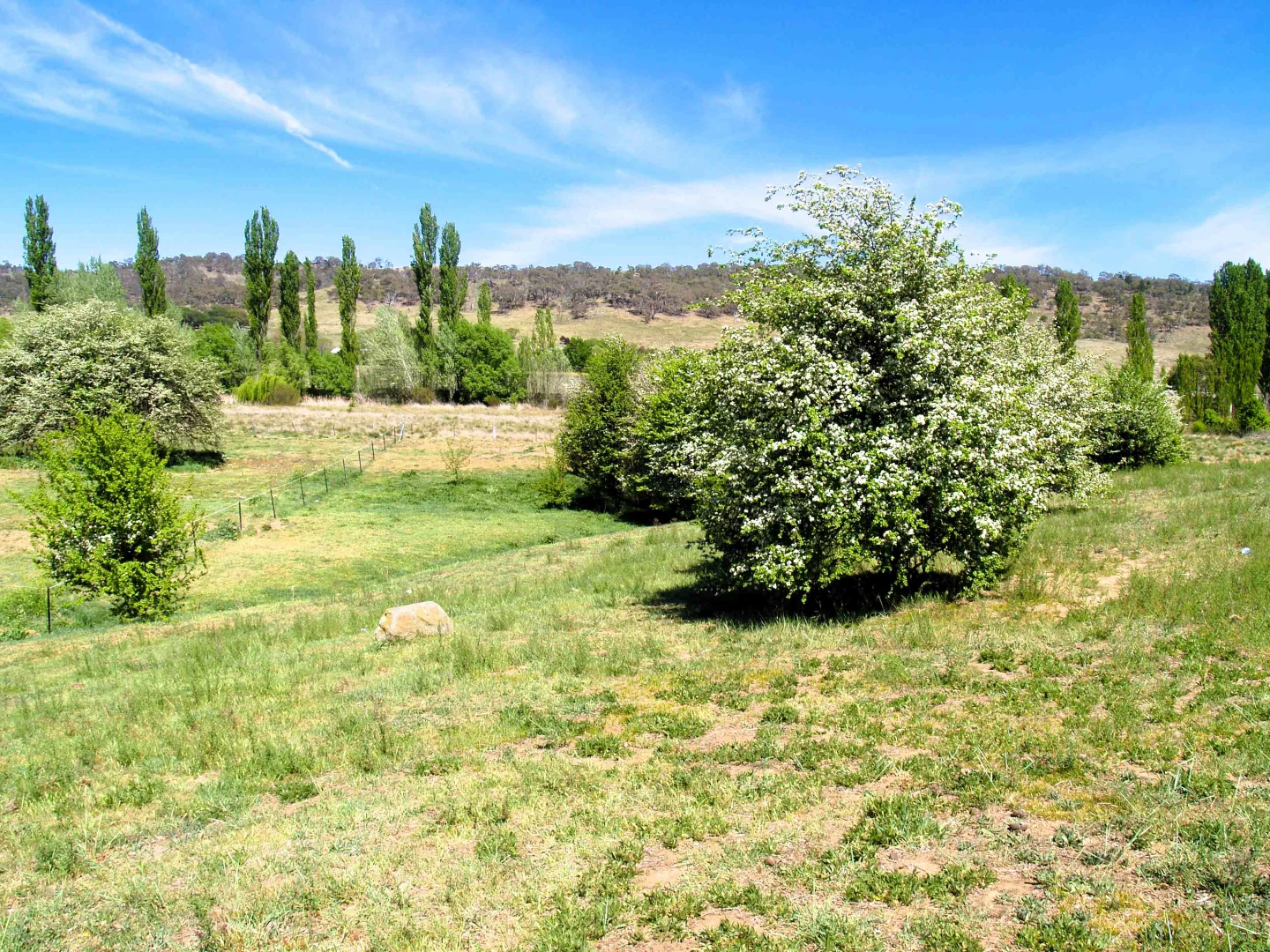 Additional image 6 of 28 Ryrie Street, Michelago NSW 2620