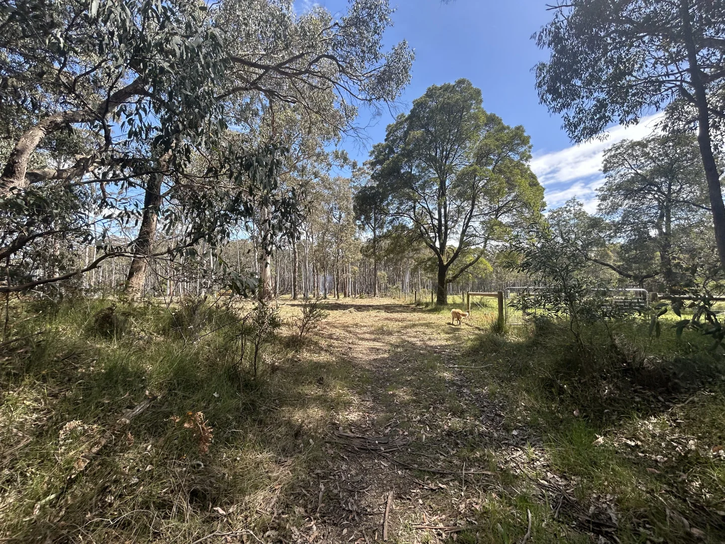 Additional image 12 of 175 Blighs Road, Trentham VIC 3458