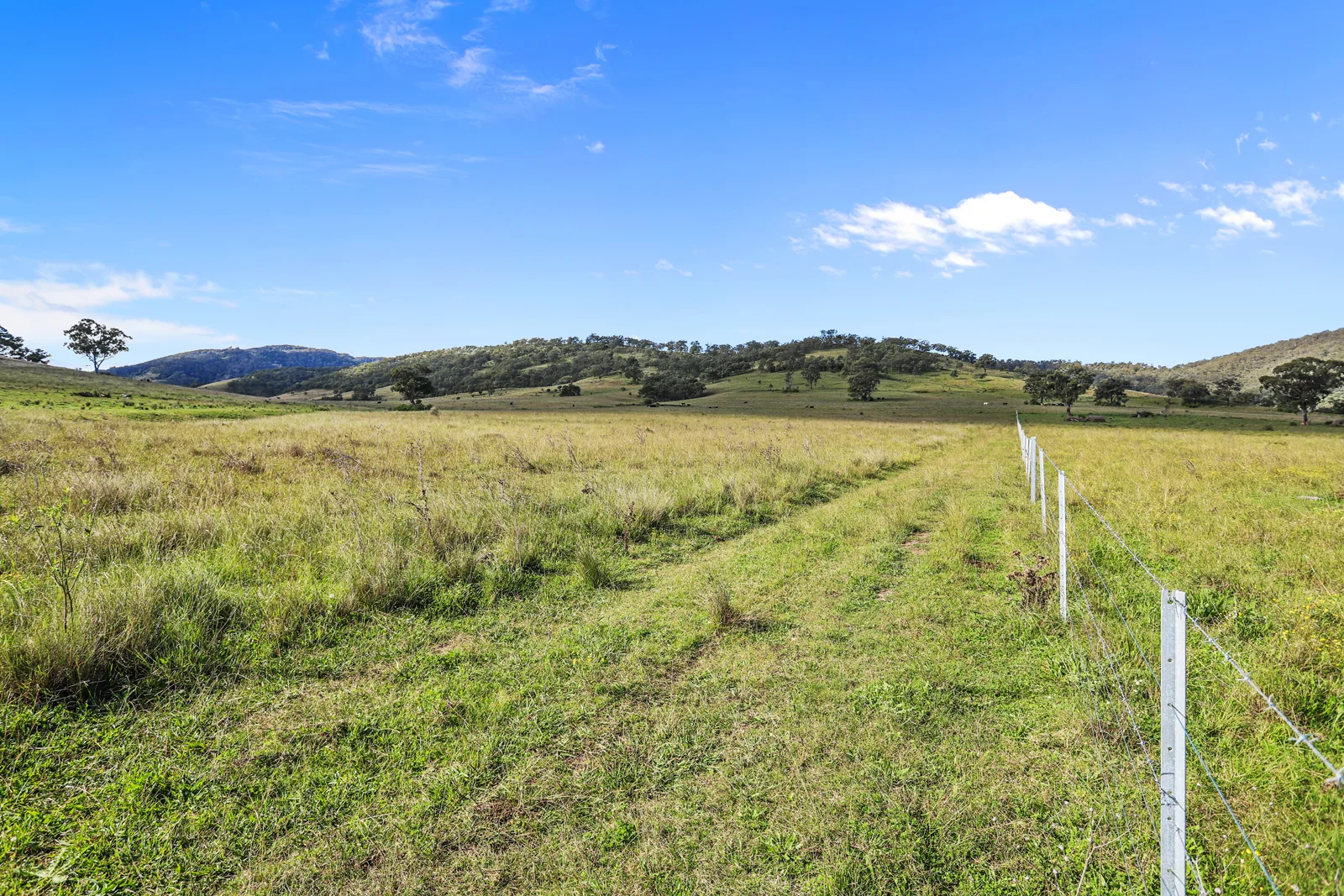 Additional image 10 of 260 Mareeba Road, Scone NSW 2337