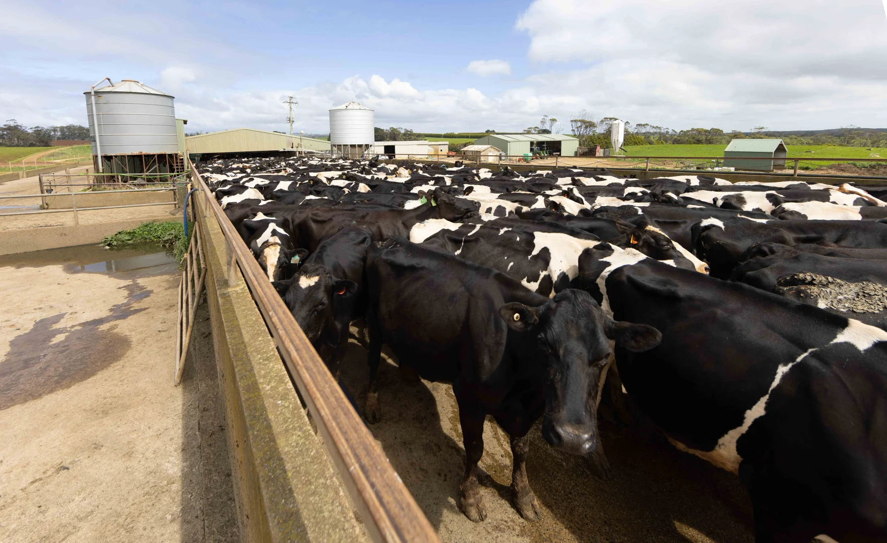 Additional image 9 of 99 Jocks Road, Forest TAS 7330