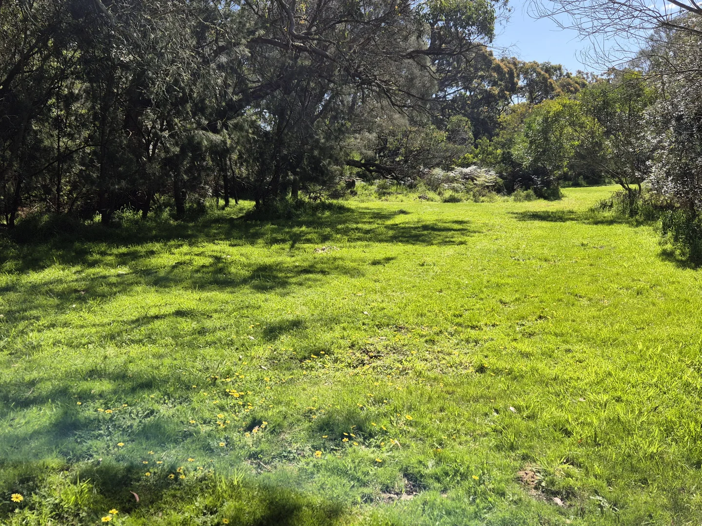 Additional image 14 of 417 McBurnie and Boags Road, Tarwin Lower VIC 3956