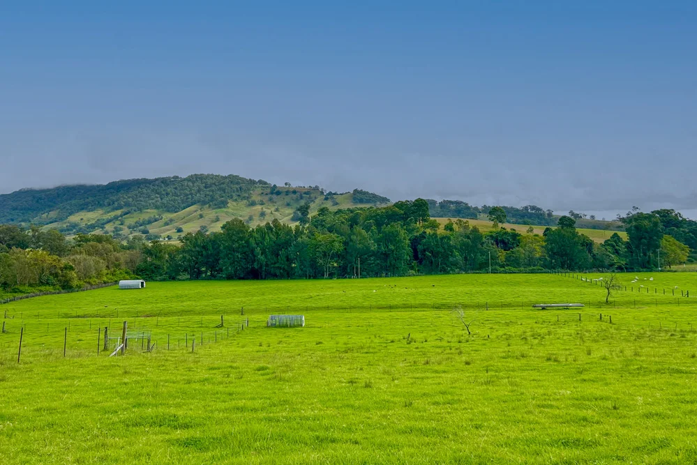 Additional image 5 of 1644 Paterson River Road, Lostock NSW 2311