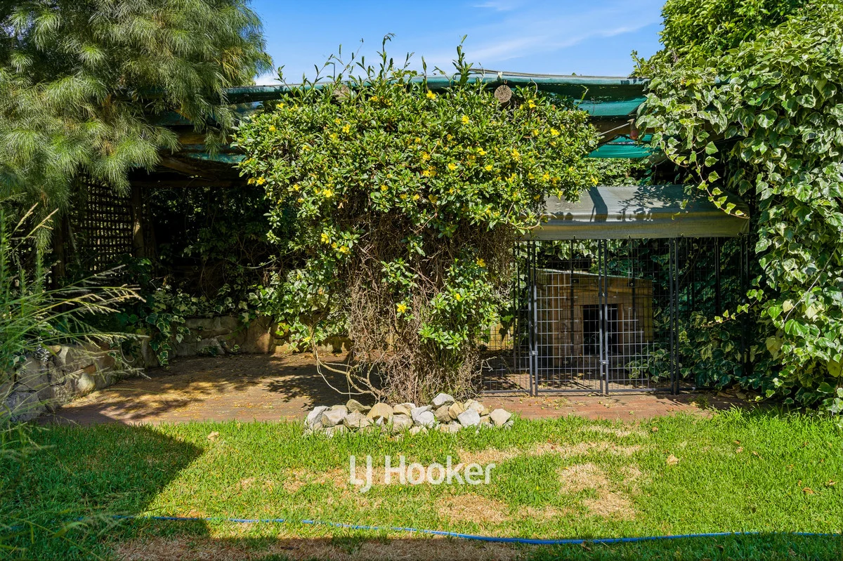 Additional image 26 of 305 Steere Street North, Collie WA 6225