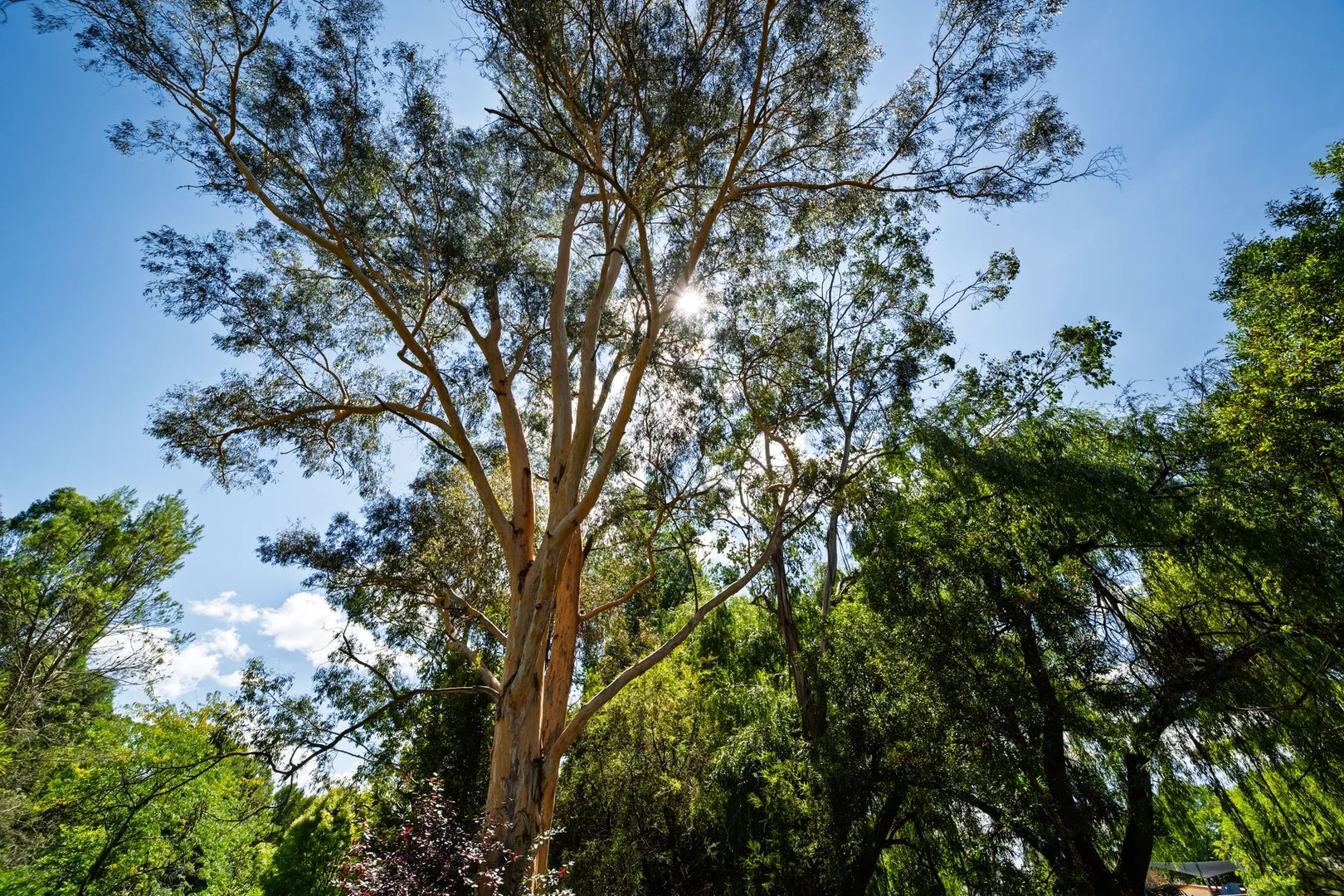 Additional image 37 of 3-5 Sommer Avenue, Bright VIC 3741