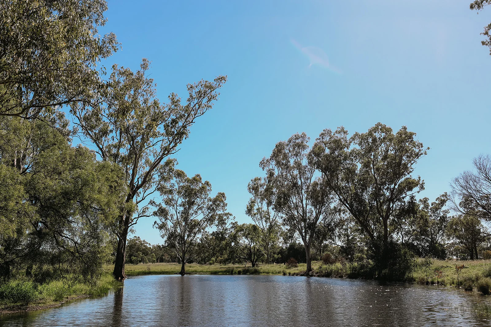 Additional image 20 of 888 Dargal Road, Roma QLD 4455