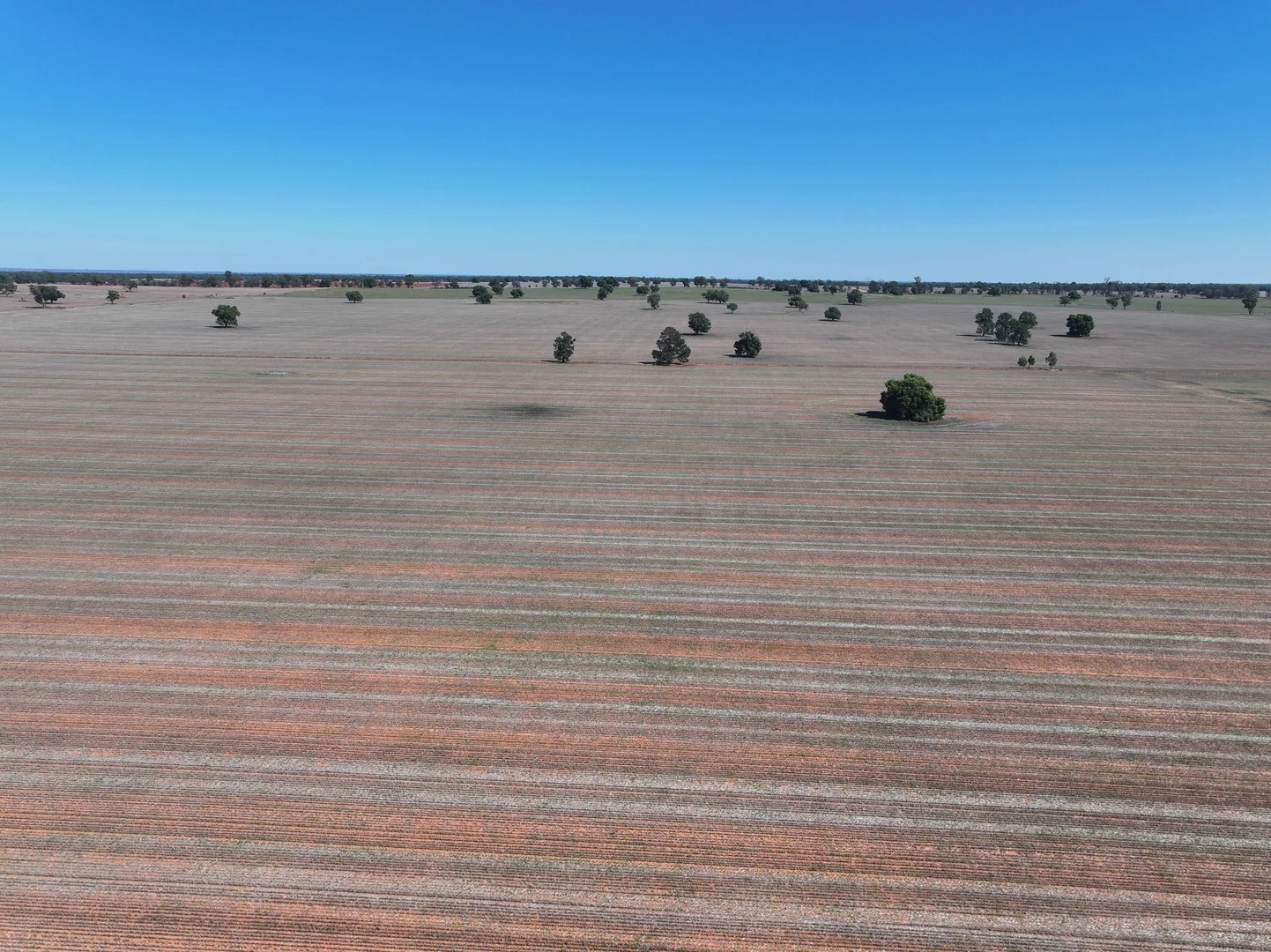 Additional image 2 of Shannonvale & Elmore Strontian Road, Boree Creek NSW 2652