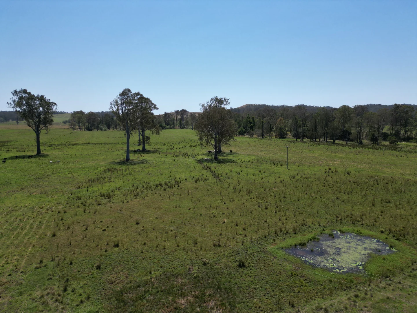 Additional image 15 of 140 Hogarth Range Road, Mongogarie NSW 2470