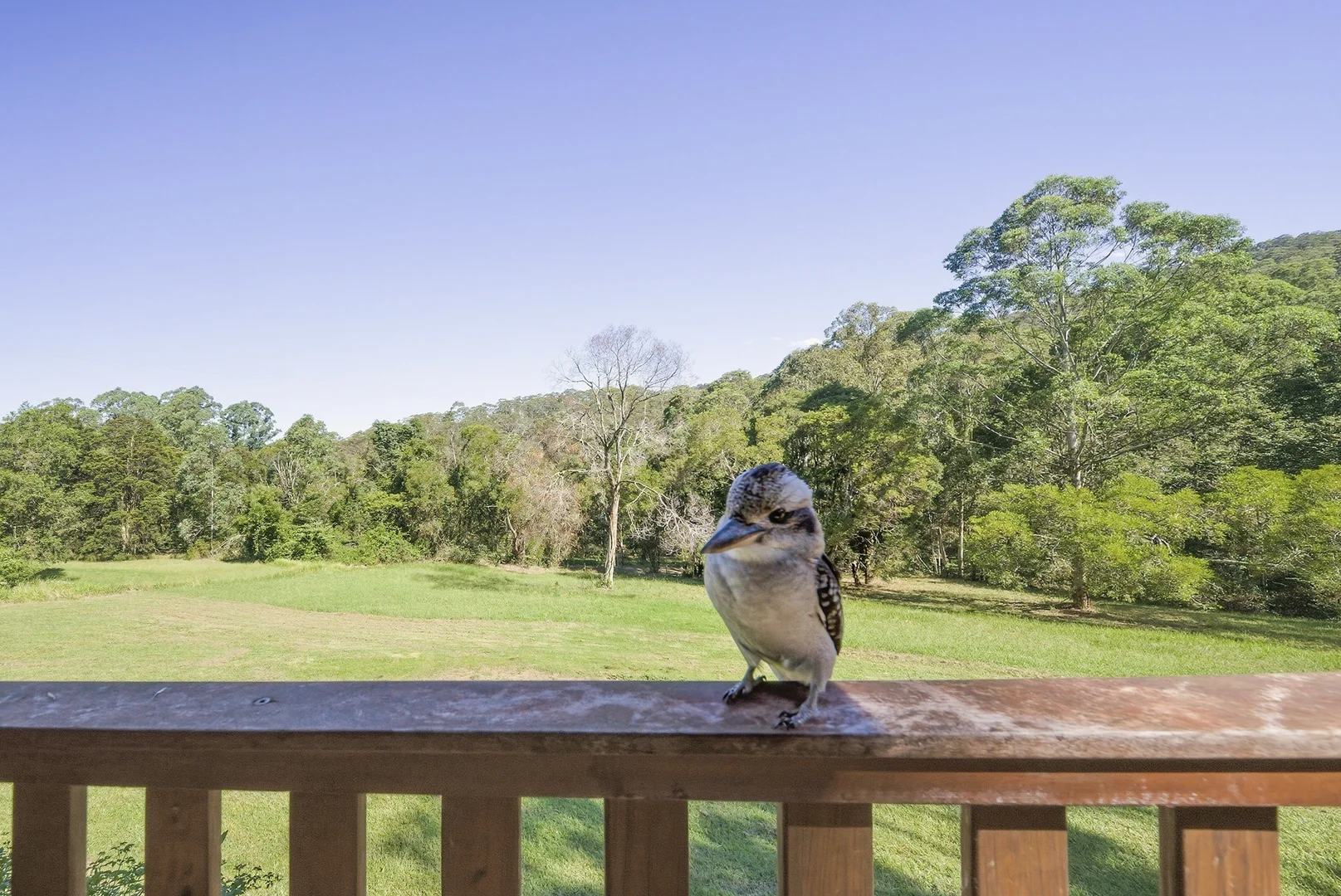 Additional image 2 of 12/1953 Chichester Dam Road, Bandon Grove via, Dungog NSW 2420