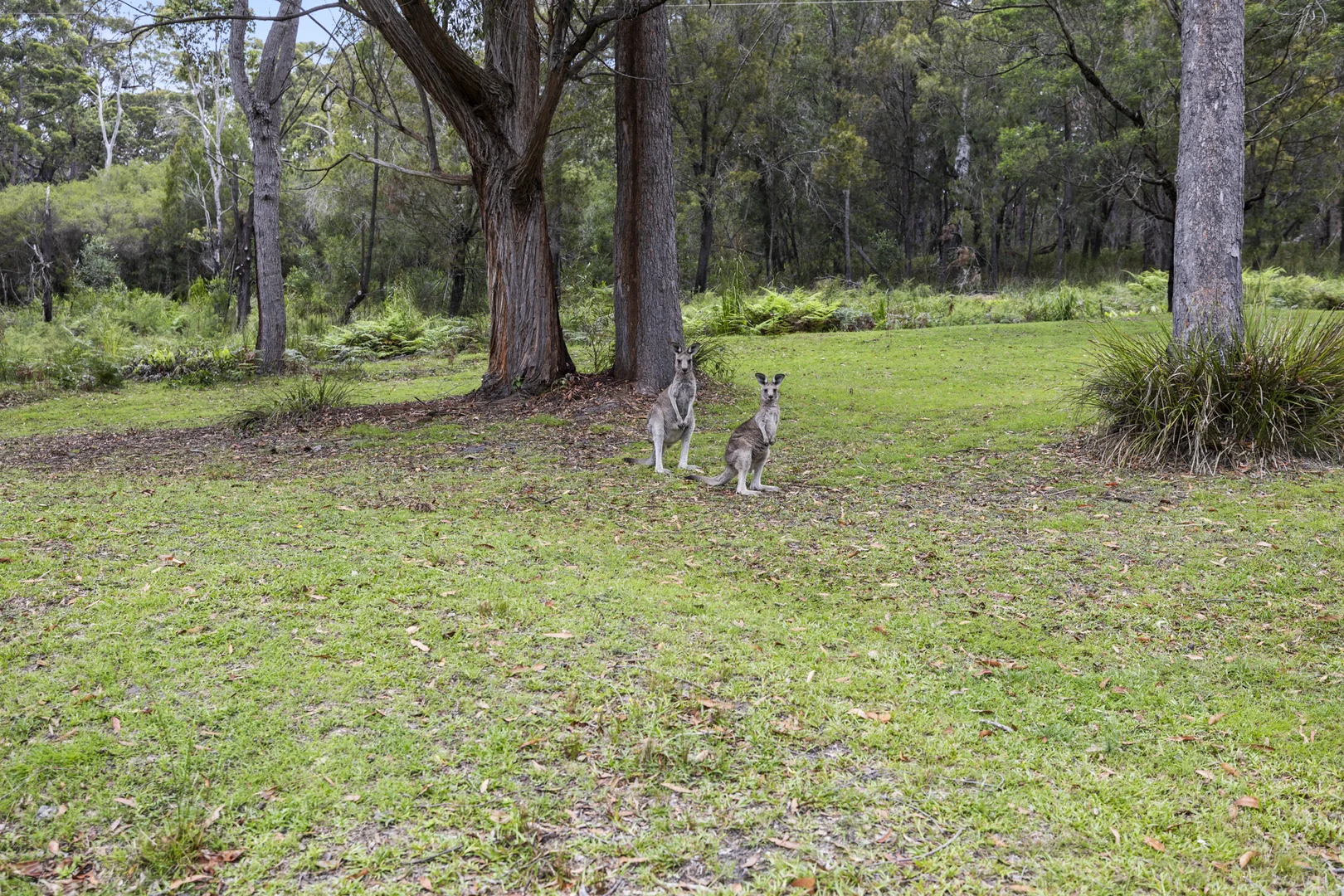 Additional image 9 of 11/111 Widgeram Road, Bournda NSW 2548