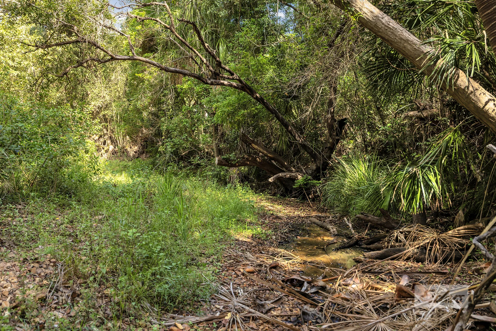 Additional image 6 of 4 Korenan Service Road, Lowmead QLD 4676