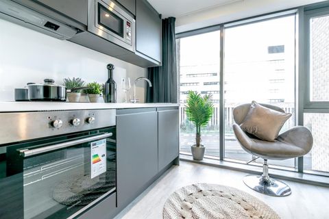 Parkside, Coventry CV1, Studio to rent