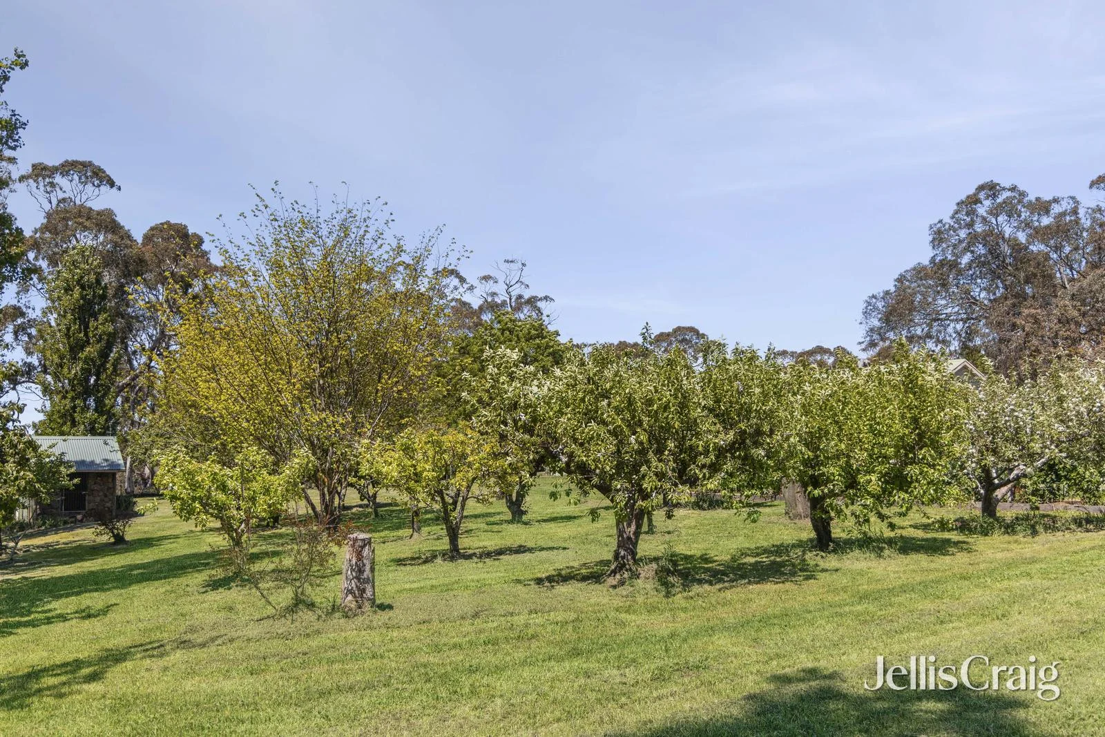 Additional image 15 of 223 Trio Road, Kyneton VIC 3444