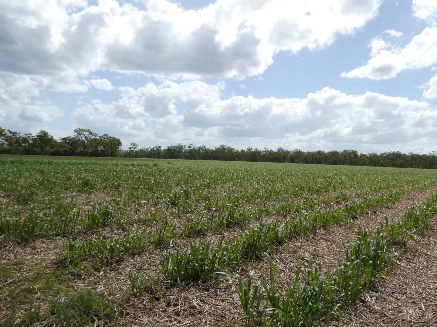 Additional image 24 of 3392 Childers Road, Gregory River QLD 4660