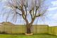 Additional image 51 of Wragholme Road, Grainthorpe, Louth, LN11