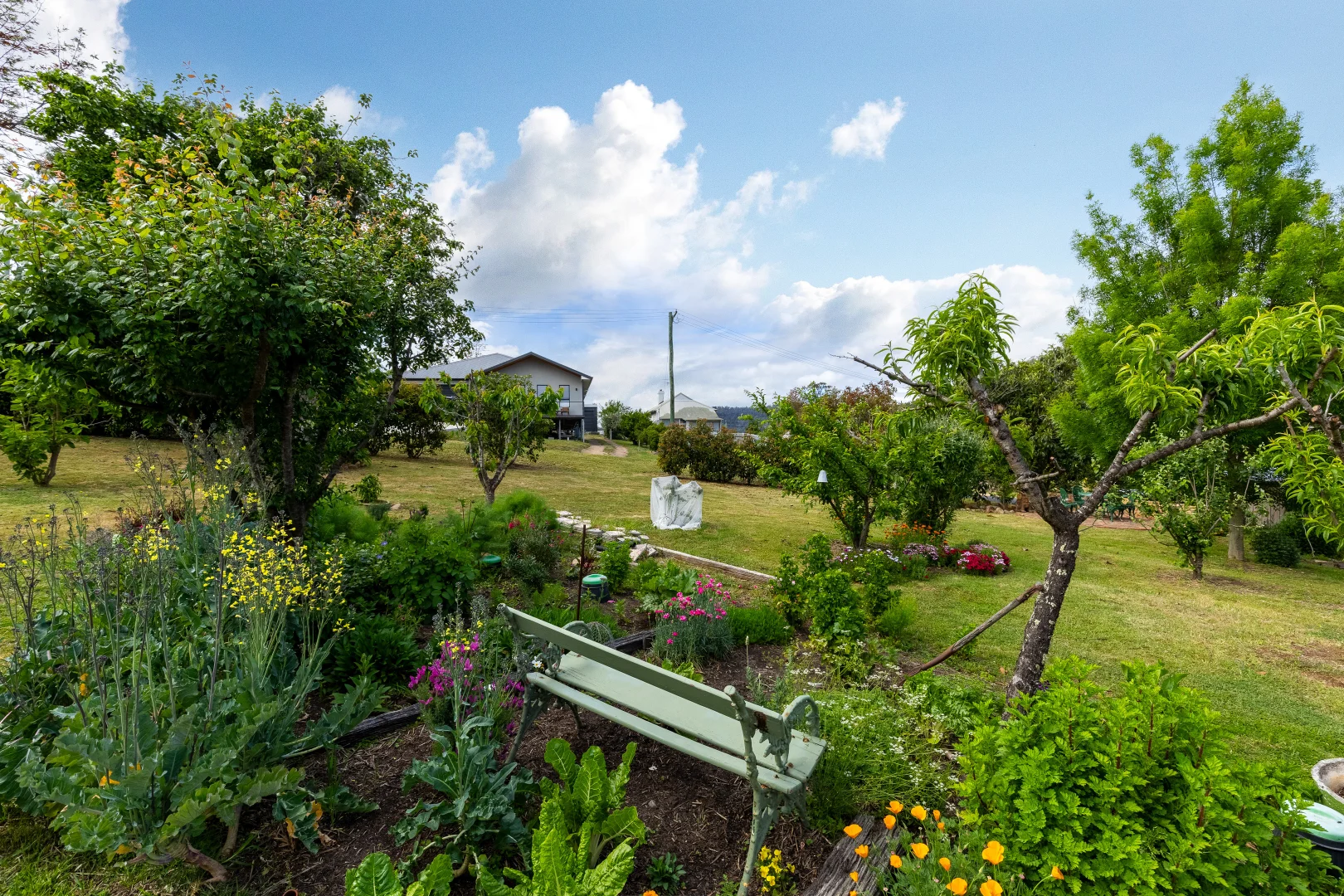 Additional image 20 of 19 Cobargo Bermagui Road, Cobargo NSW 2550