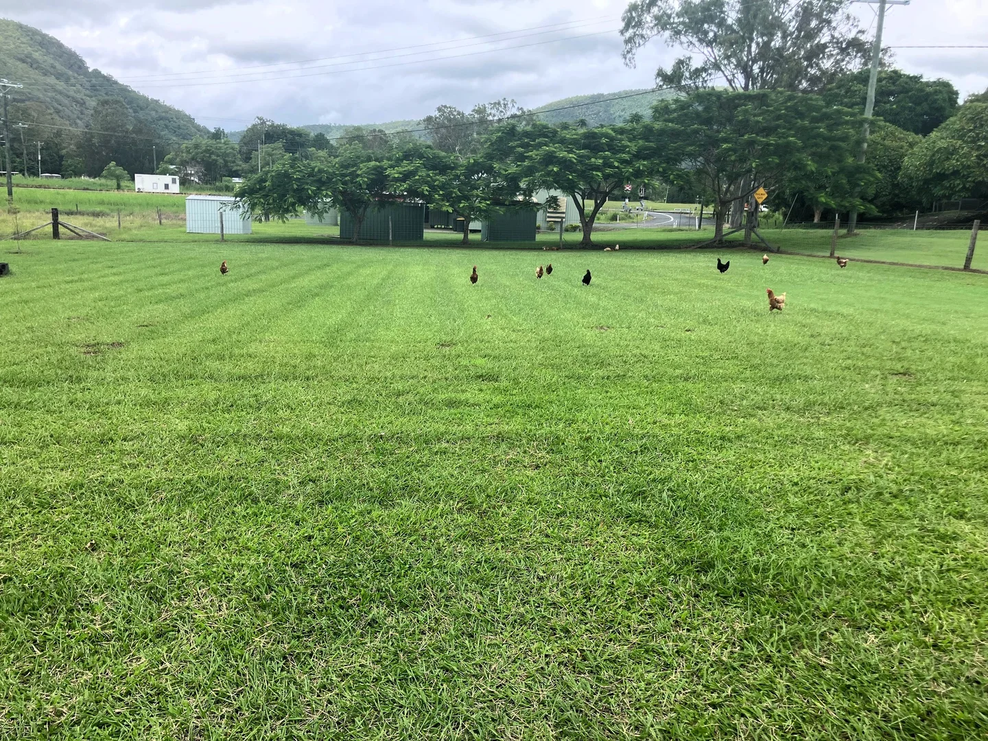 Additional image 10 of 24 Paskins Road, Yalboroo QLD 4741