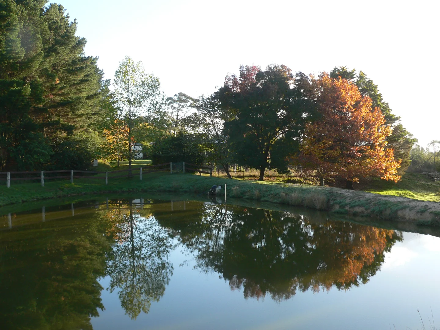 Additional image 19 of 873 Jenolan Caves Road, Good Forest NSW 2790