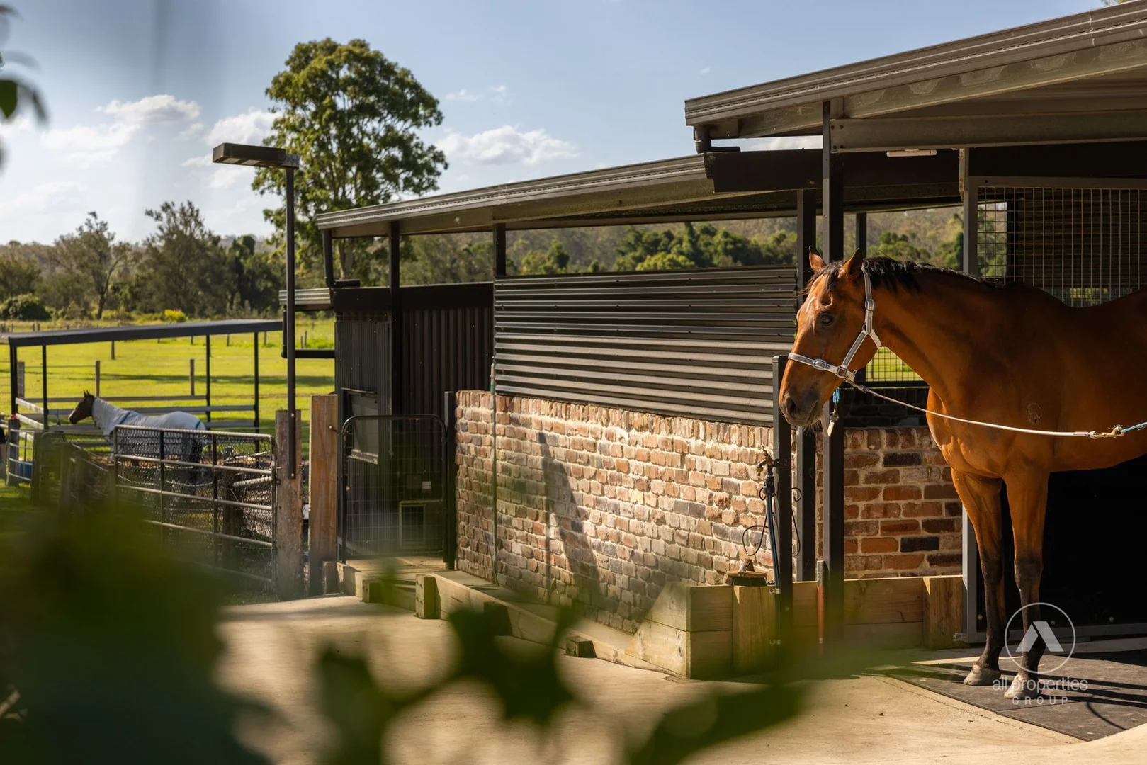 Additional image 30 of 115-117 RIEMORE CIRCUIT, Tamborine QLD 4270