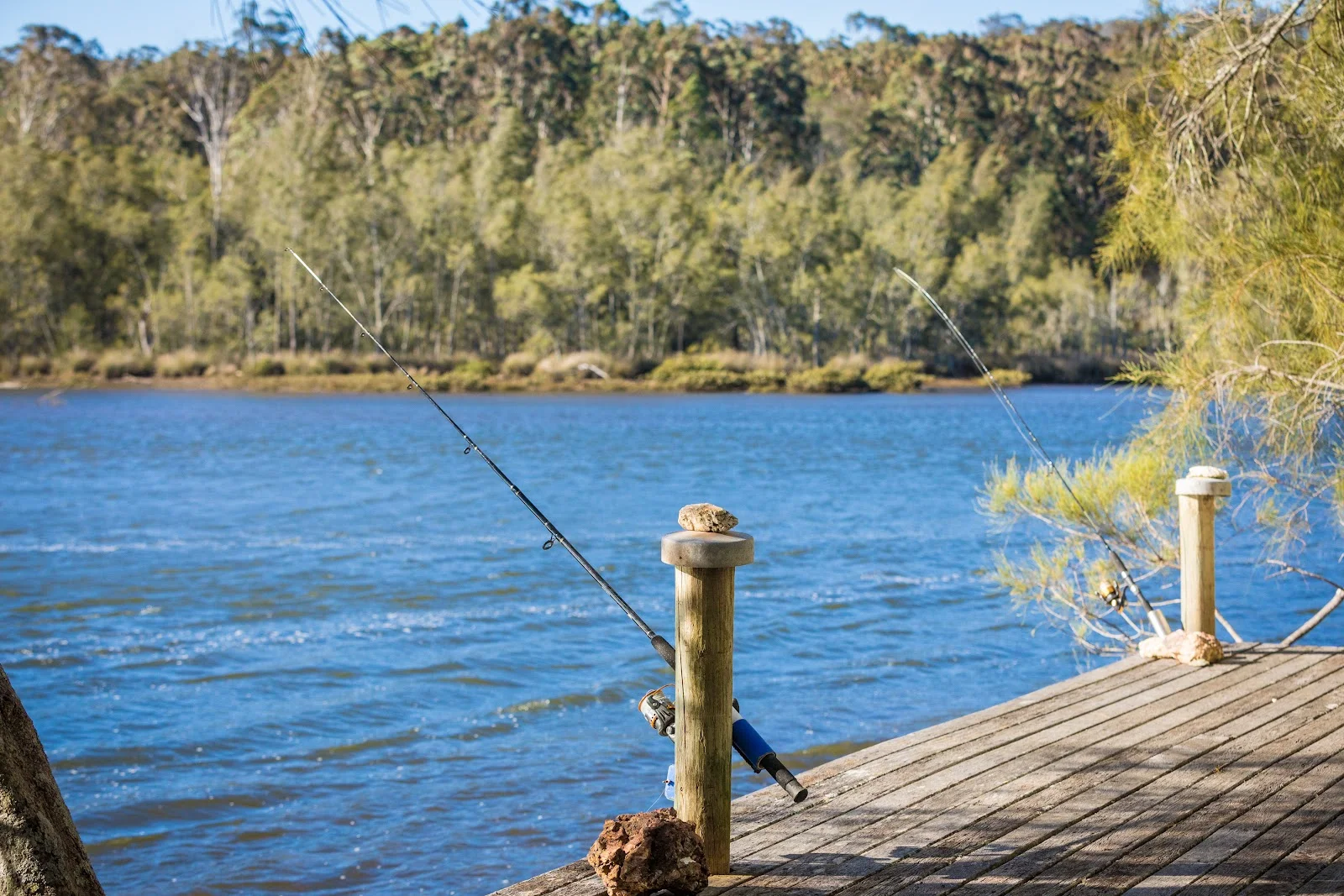 Additional image 28 of 950 Wagonga Scenic Drive, Narooma NSW 2546