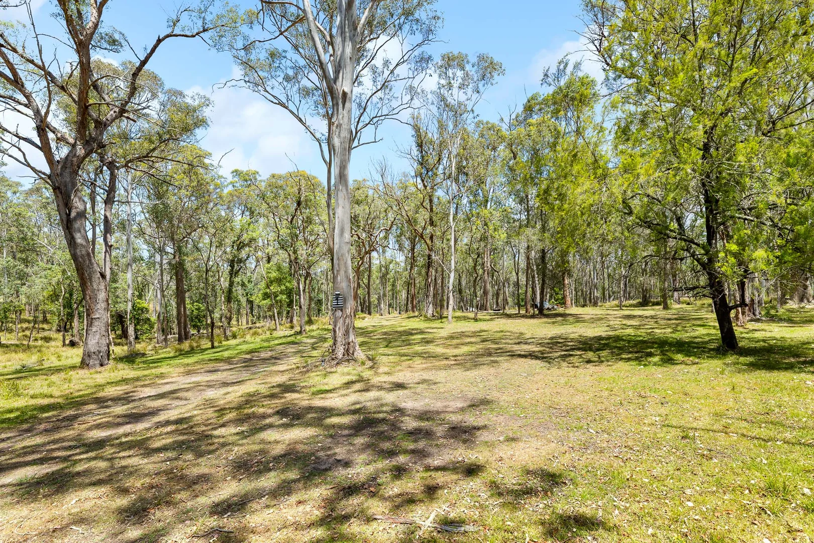 Additional image 2 of 204 Congo Road, Moruya NSW 2537
