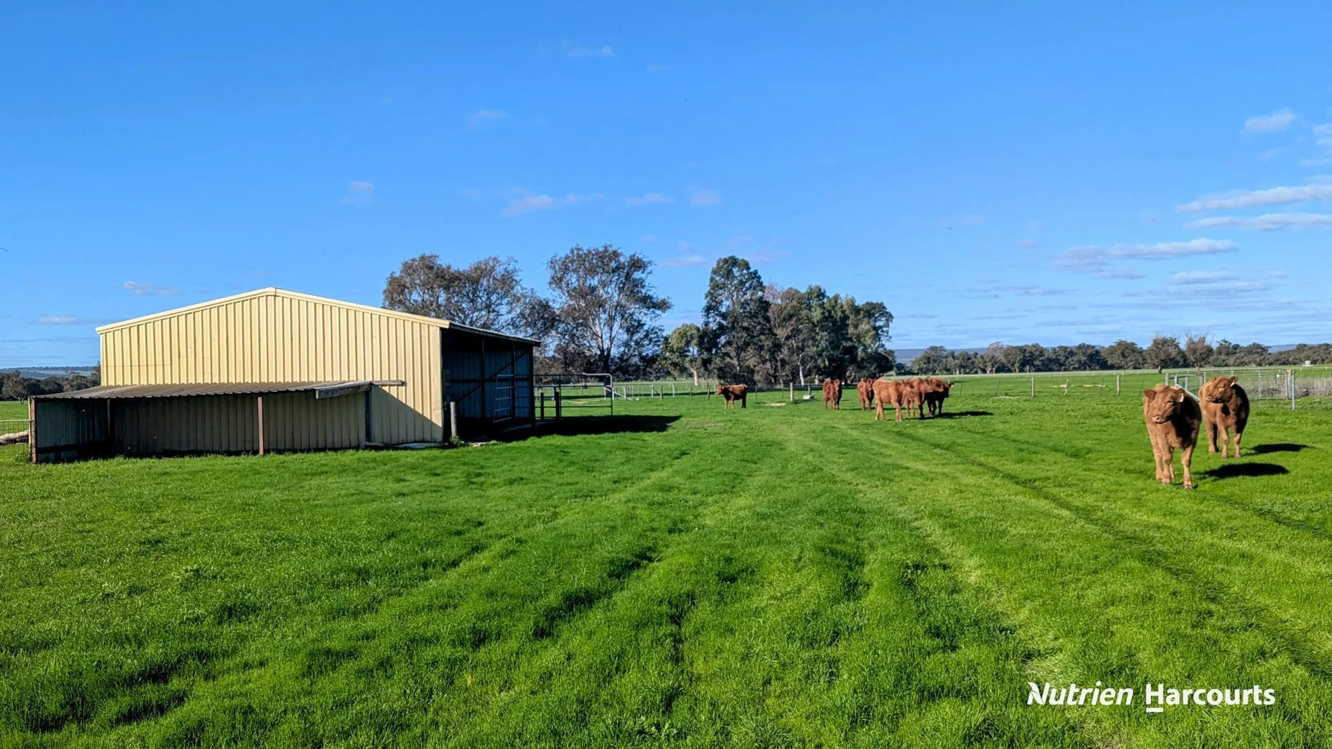 Additional image 38 of 271 Mayfield Road (Beermullah), Gingin WA 6503