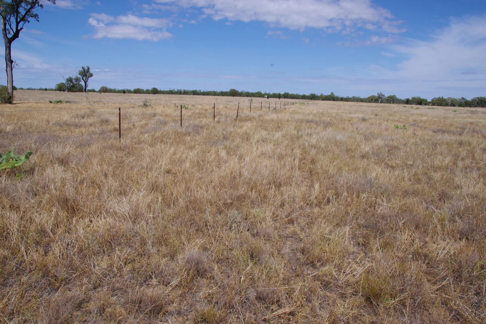Additional image 33 of 696 Murrumbilla Lane, Narrabri NSW 2390