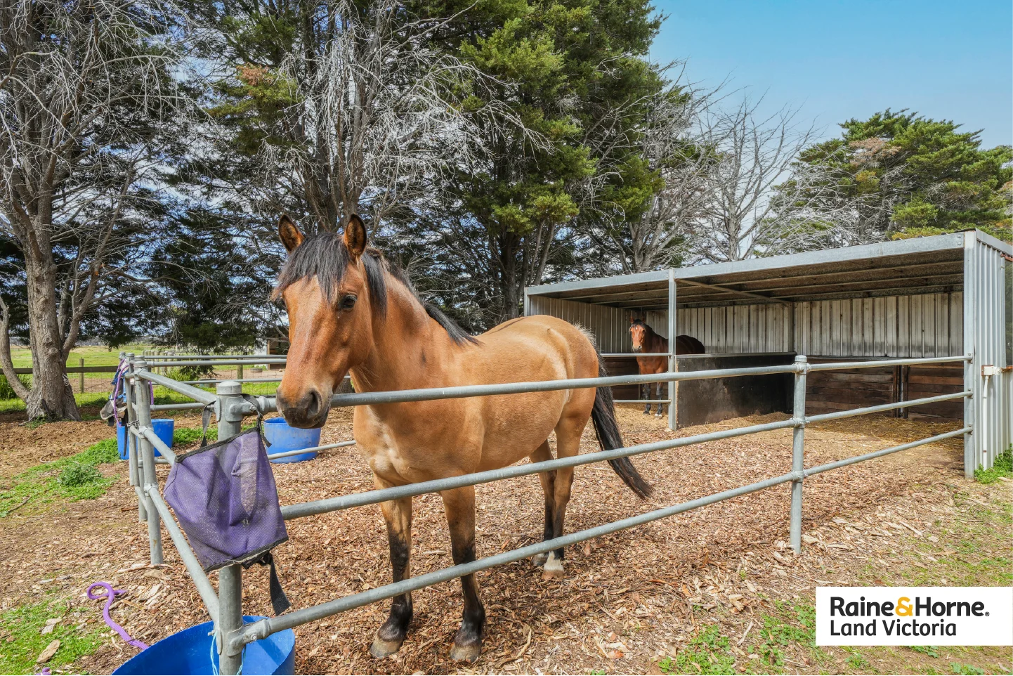 Additional image 11 of 580 Flinders Avenue, Lara VIC 3212