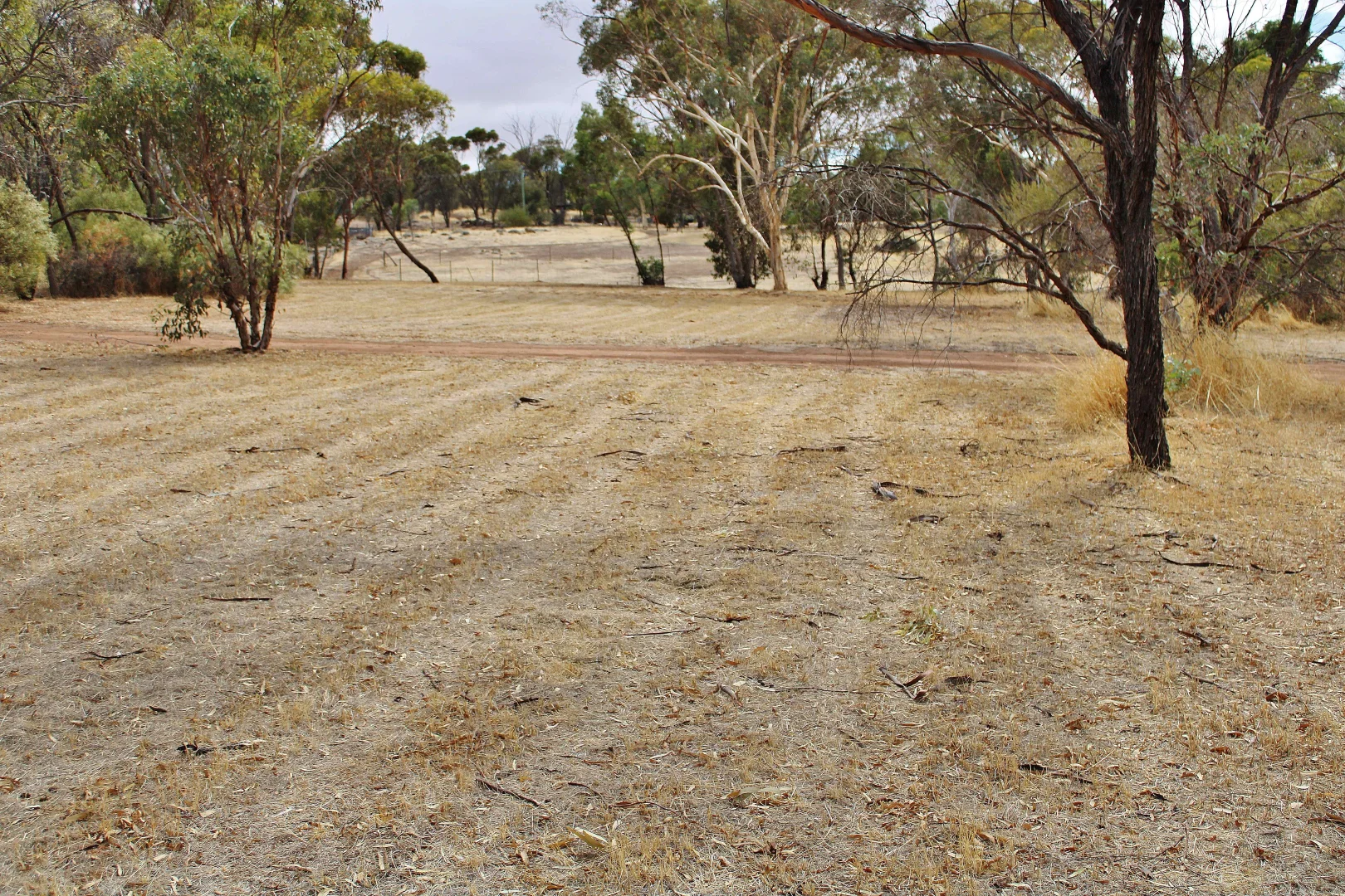 Additional image 26 of 95 CAMPBELL STREET, Cuballing WA 6311