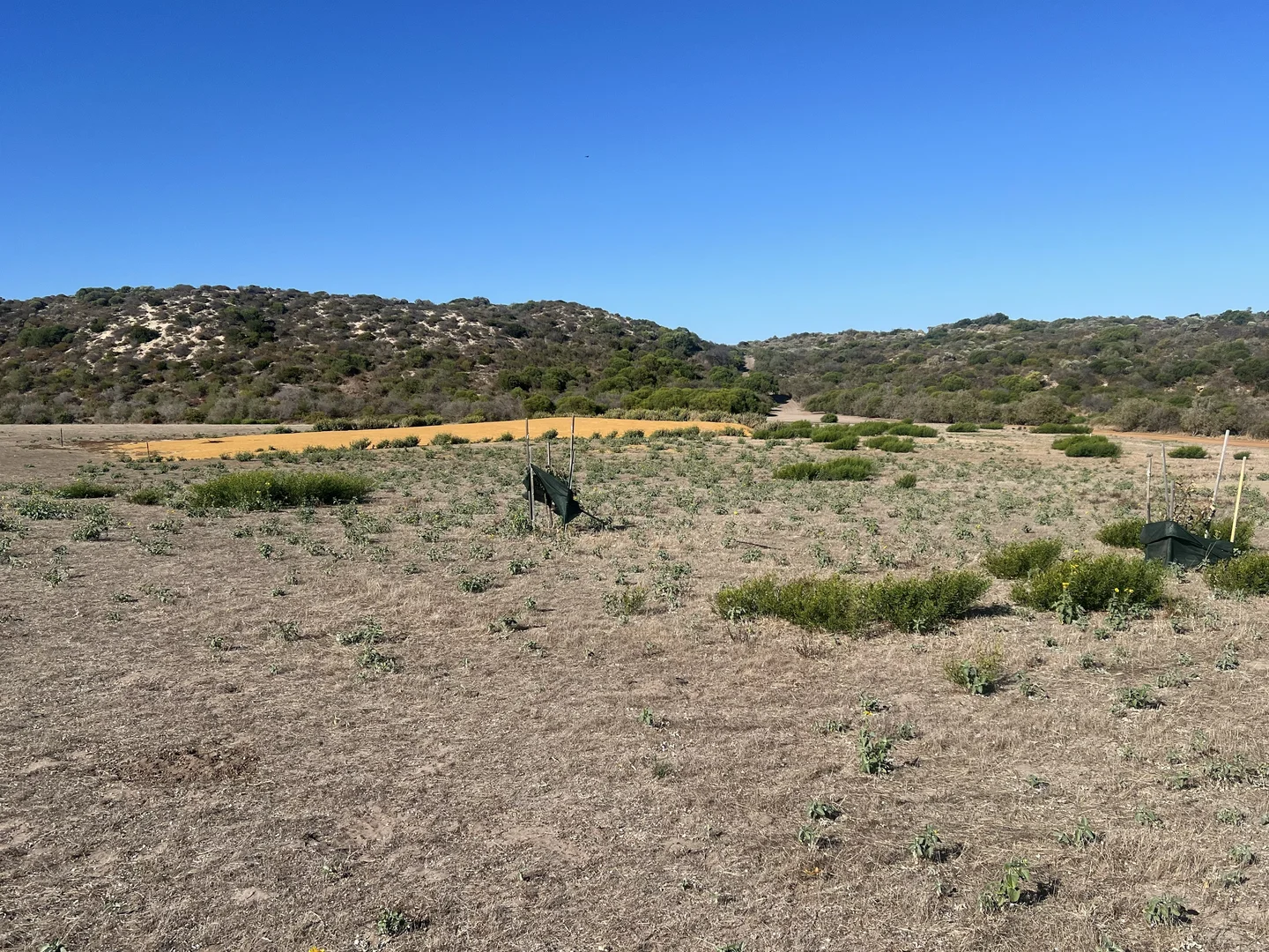 Additional image 4 of 7 North Island Loop, Greenough WA 6532