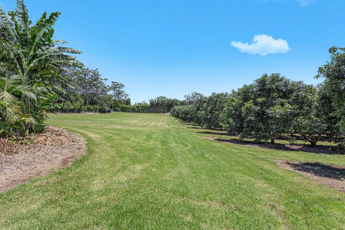 Additional image 19 of 55 Horrex Road, Ravensbourne QLD 4352