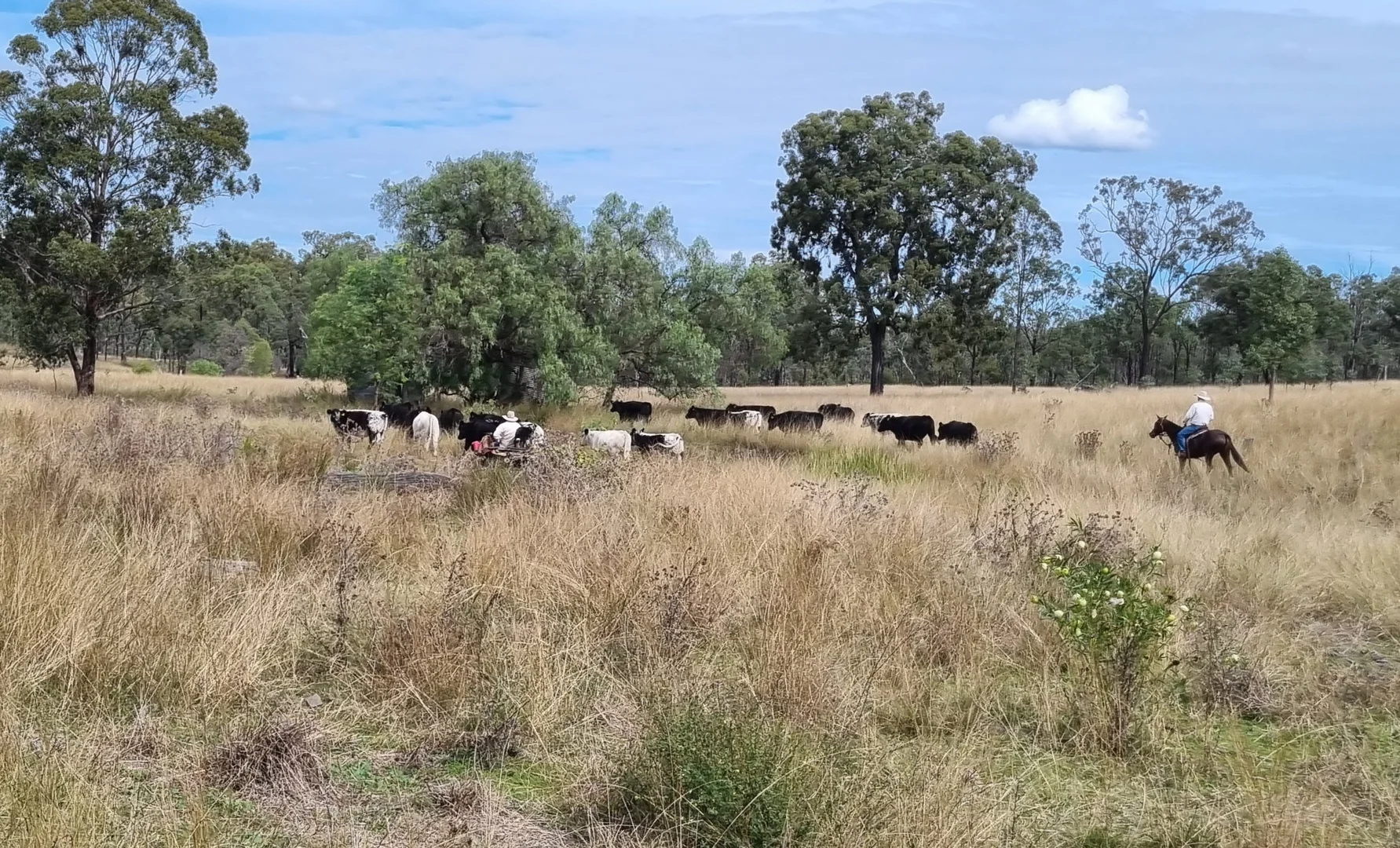 Additional image 9 of 0 Hazeldene Road, Thane QLD 4370