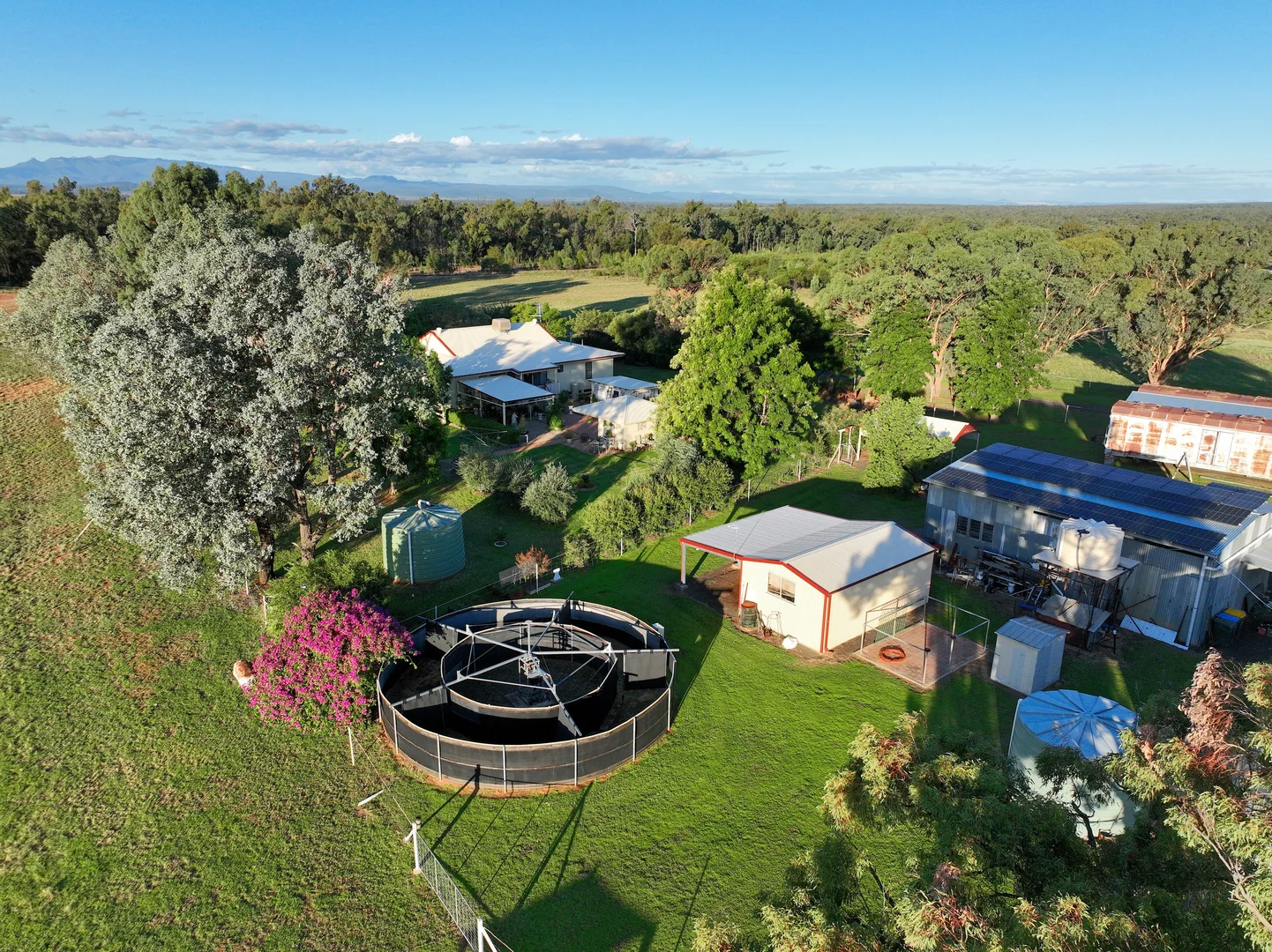 Additional image 5 of 518 Jacks Creek Road, Narrabri NSW 2390