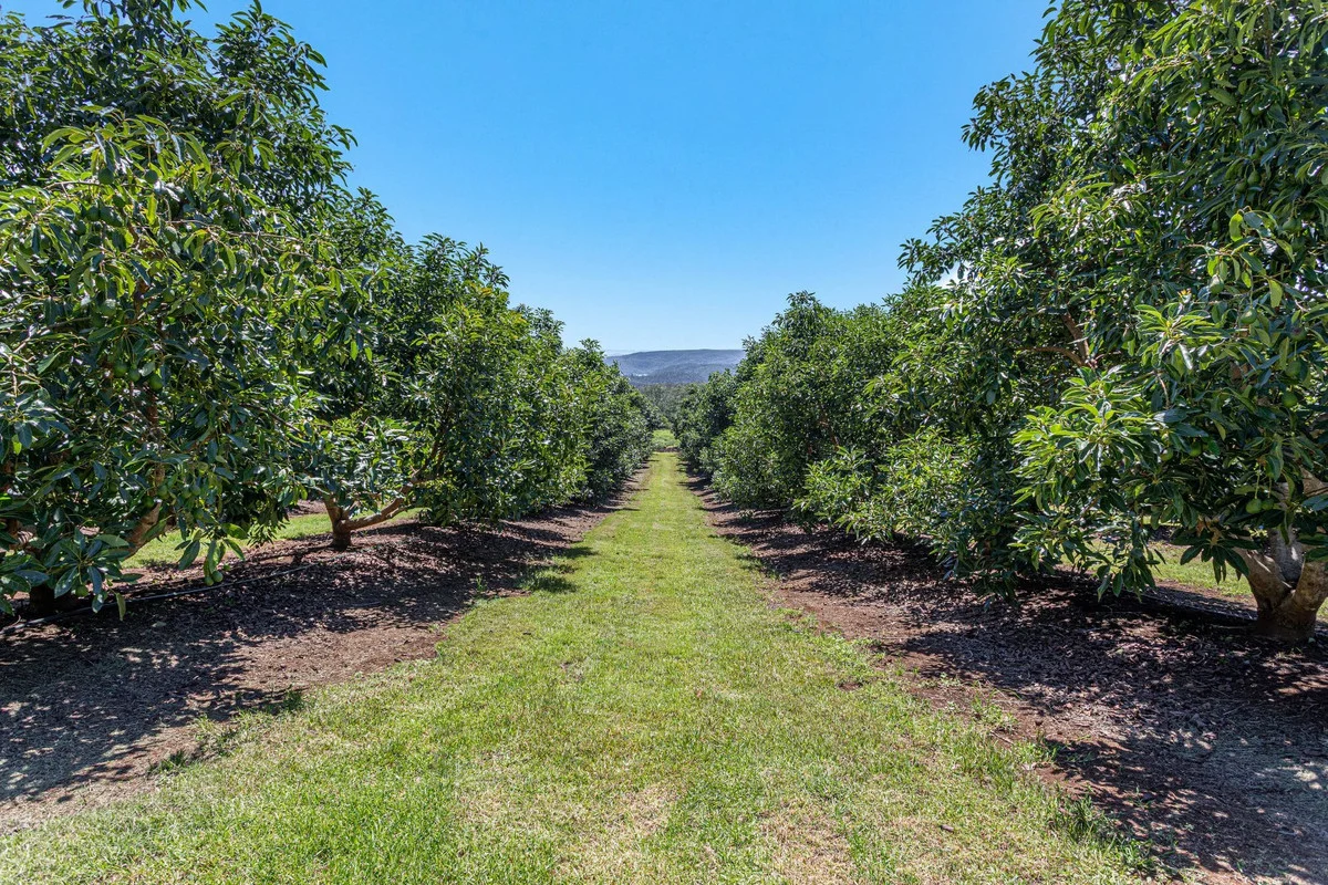 Additional image 20 of 55 Horrex Road, Ravensbourne QLD 4352