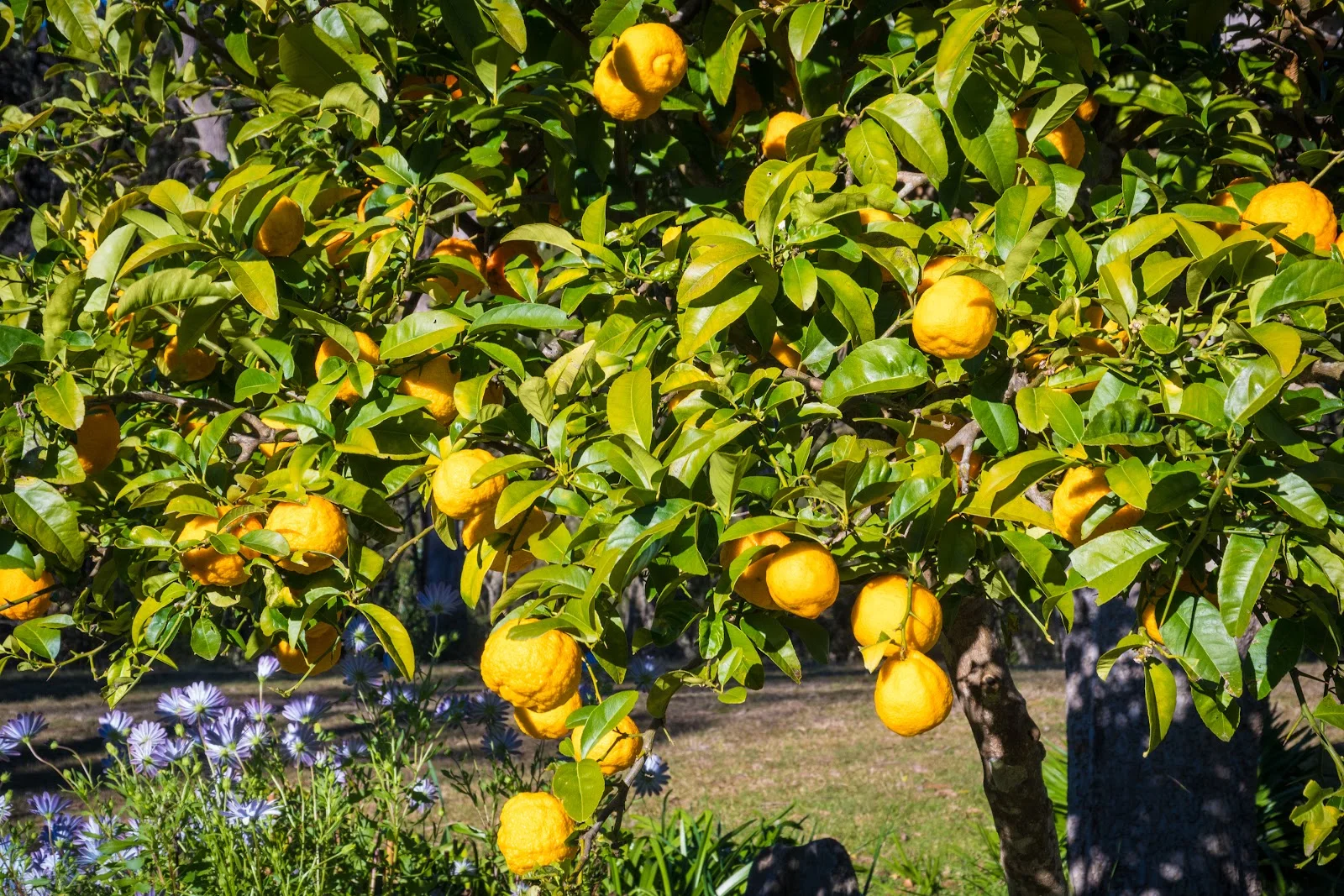 Additional image 49 of 950 Wagonga Scenic Drive, Narooma NSW 2546